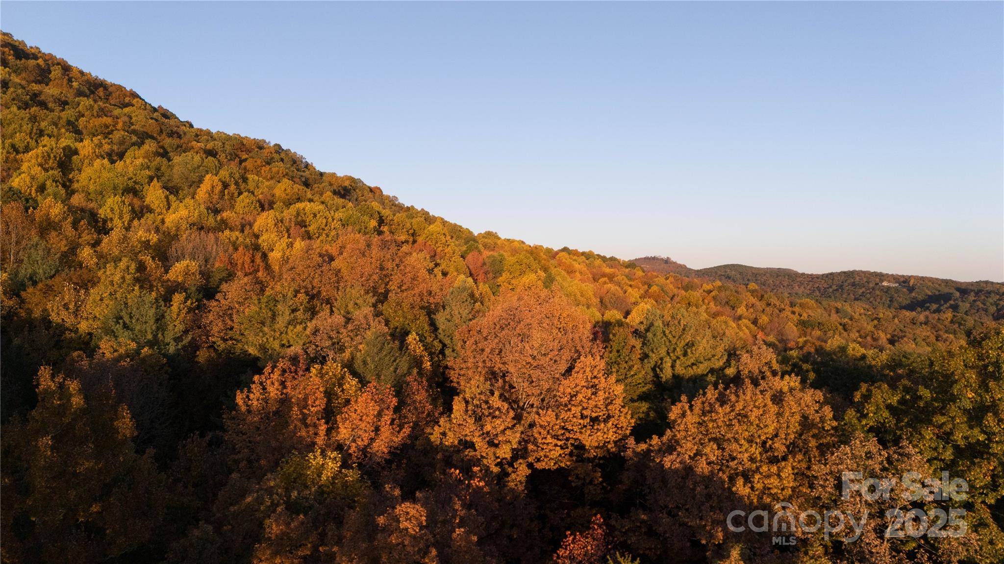 Tbd Wards Gap Road Property Photo 14