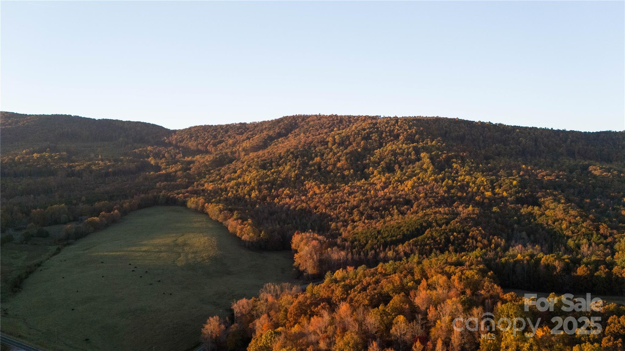 Tbd Wards Gap Road Property Photo 15