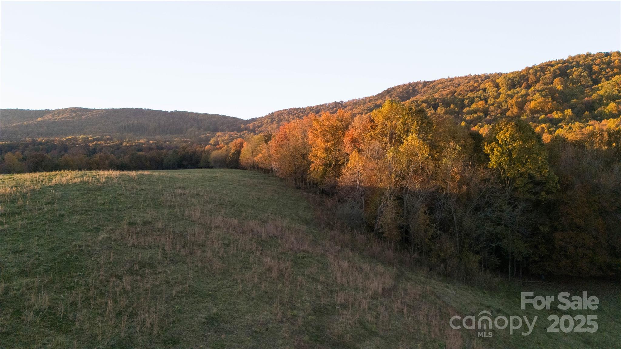 Tbd Wards Gap Road Property Photo 18