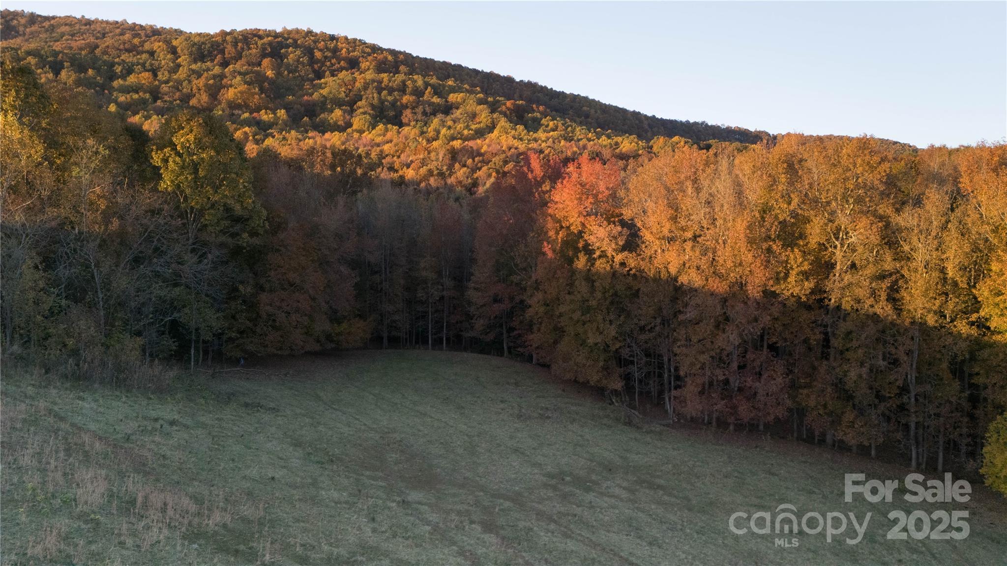 Tbd Wards Gap Road Property Photo 19