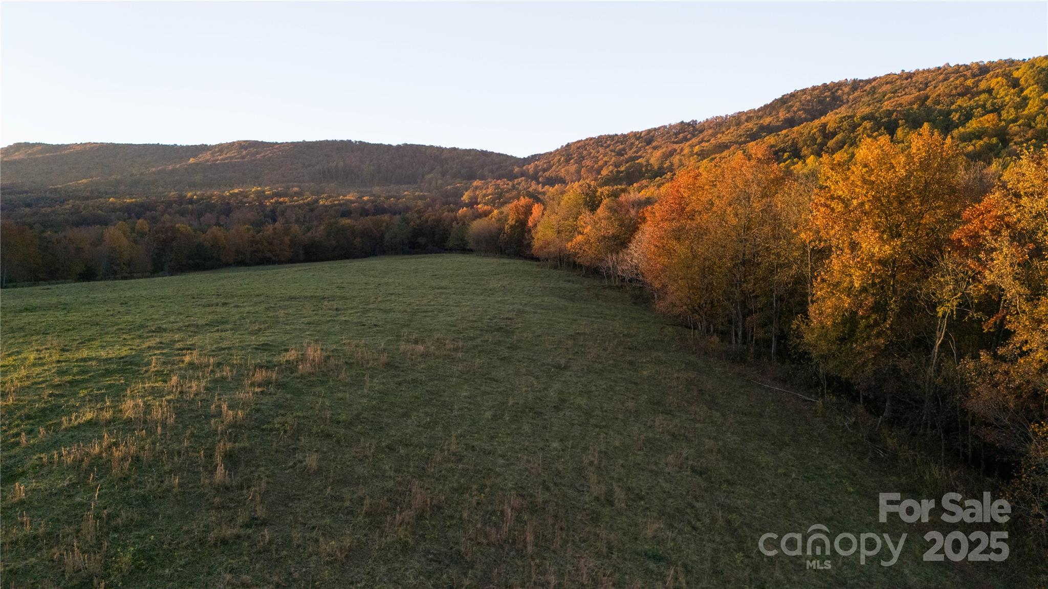 Tbd Wards Gap Road Property Photo 20