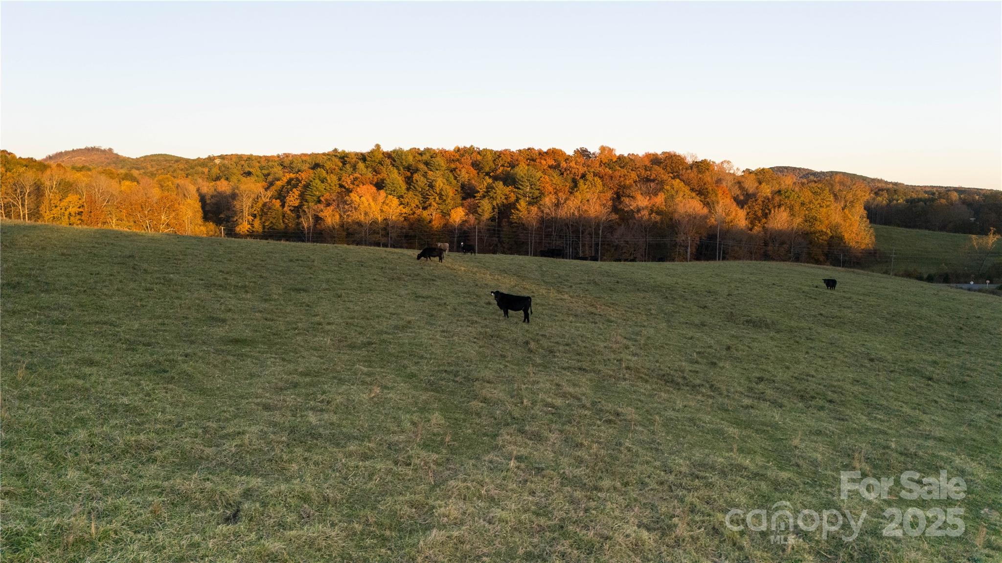 Tbd Wards Gap Road Property Photo 21