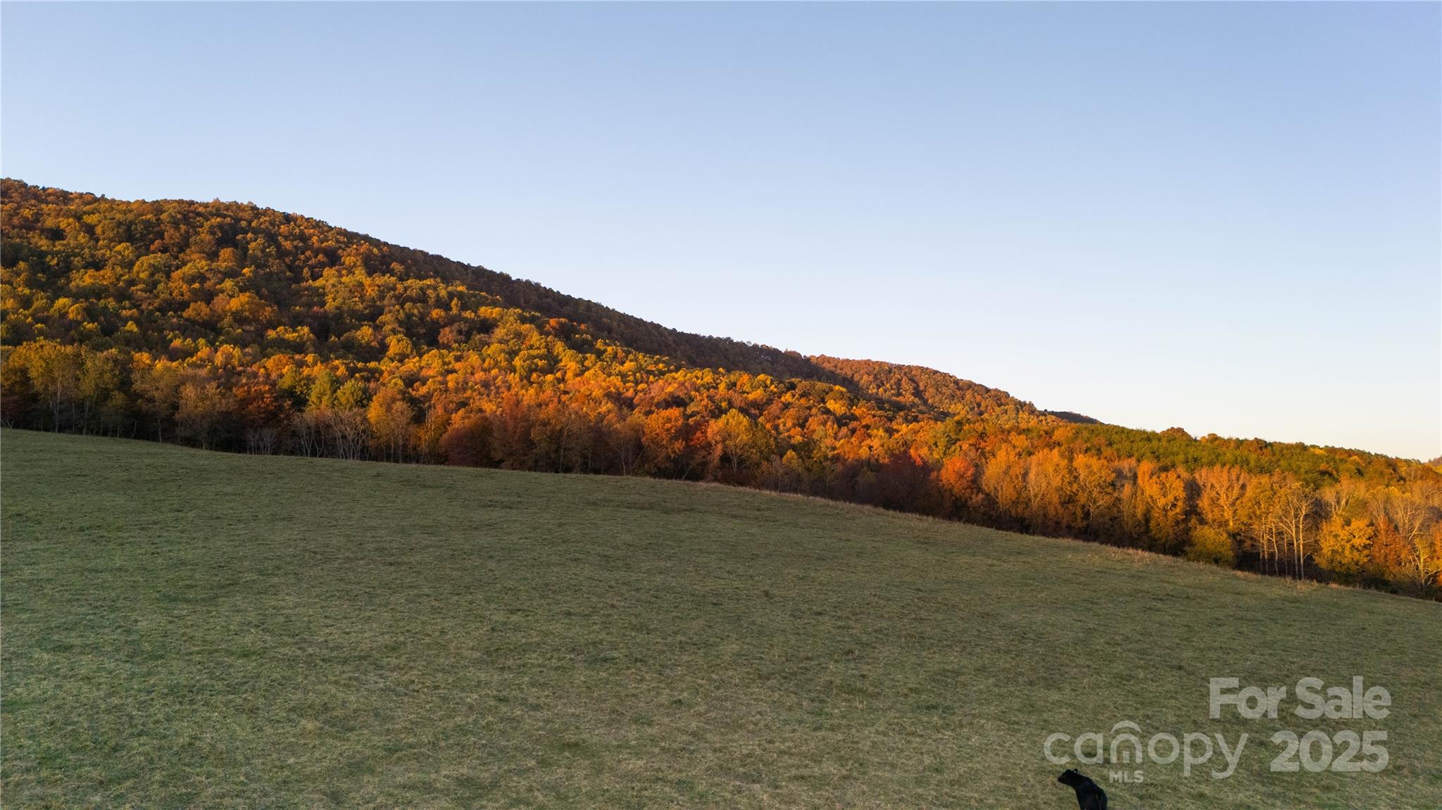 Tbd Wards Gap Road Property Photo 22