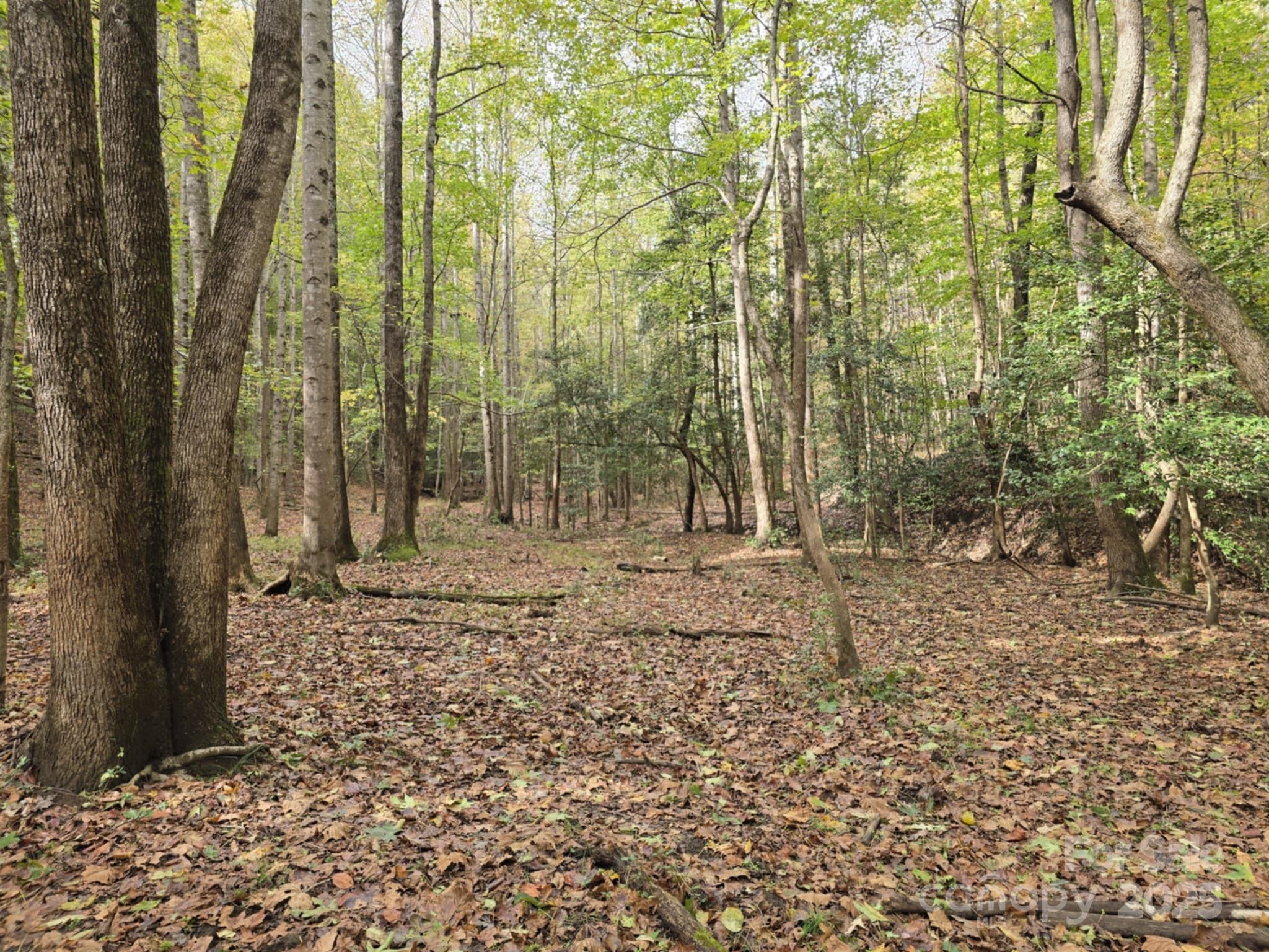 Tbd Wards Gap Road Property Photo 27
