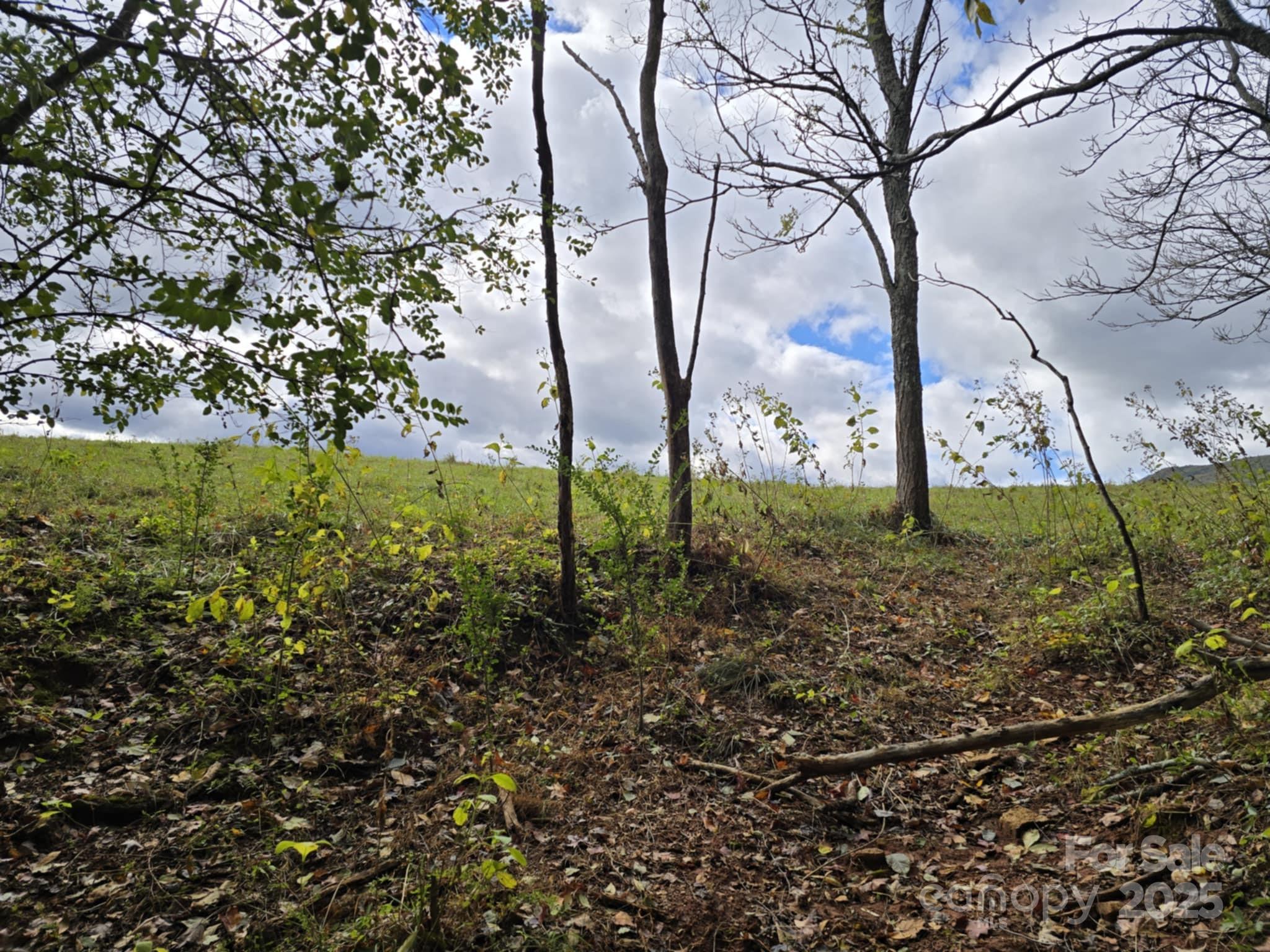 Tbd Wards Gap Road Property Photo 28