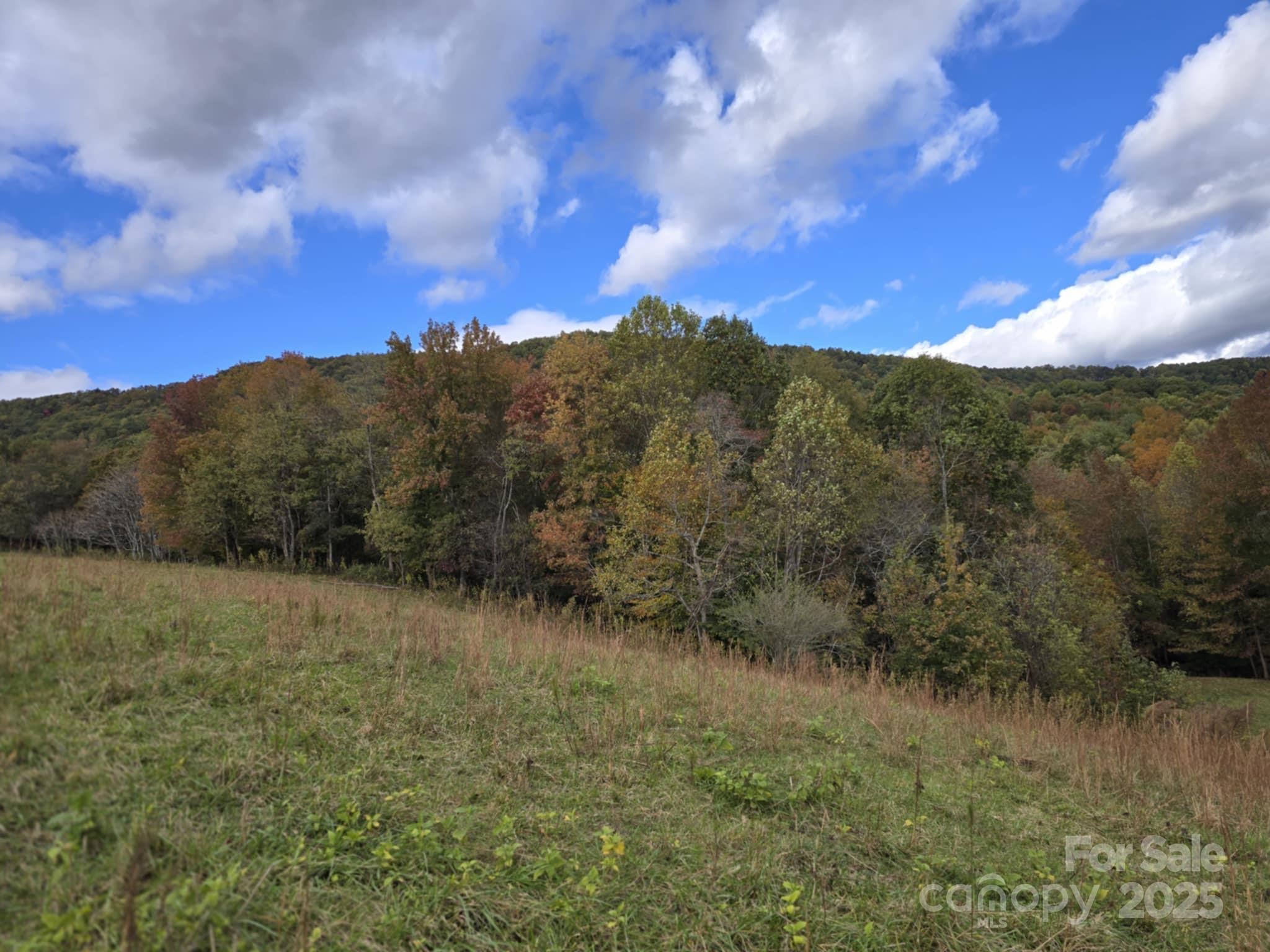 Tbd Wards Gap Road Property Photo 29