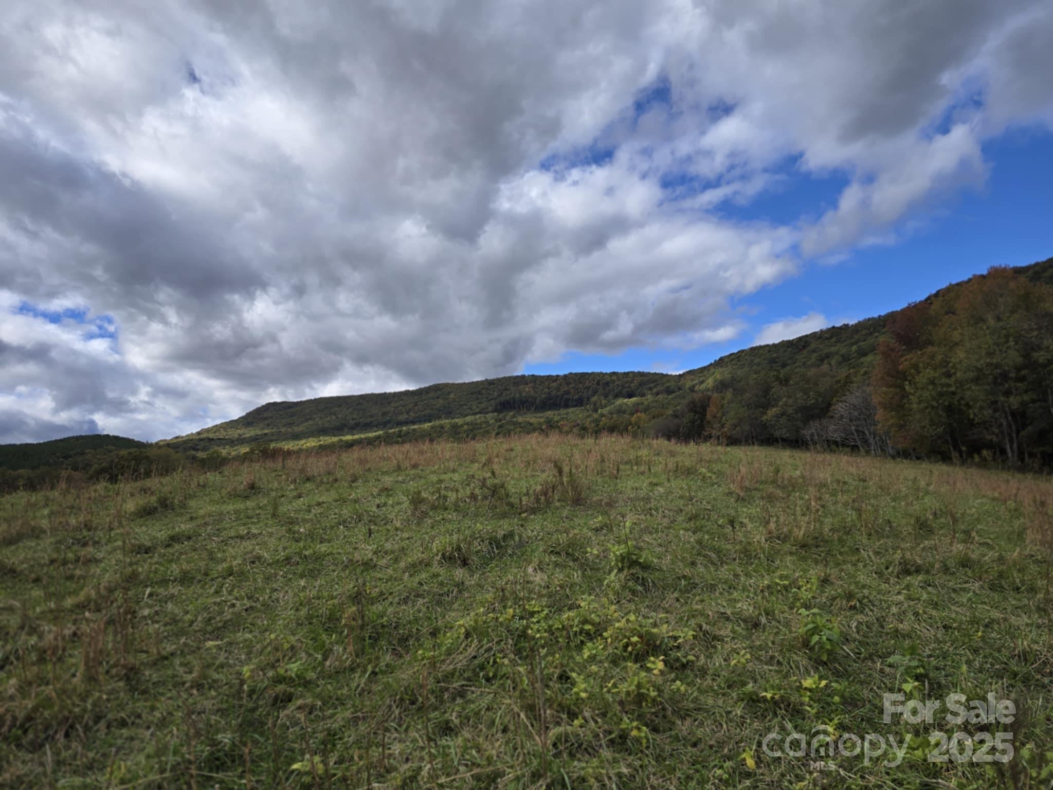Tbd Wards Gap Road Property Photo 30
