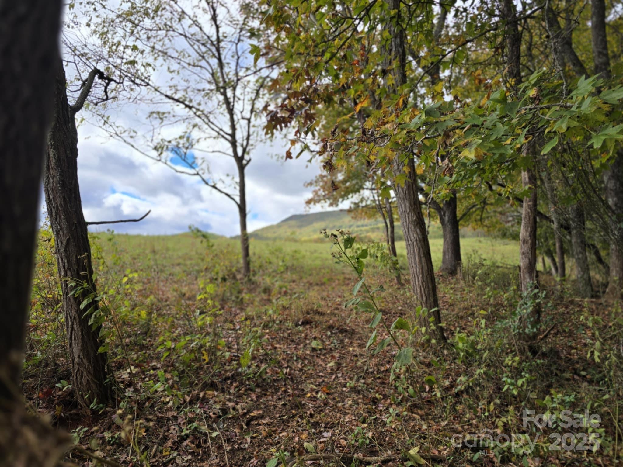 Tbd Wards Gap Road Property Photo 31