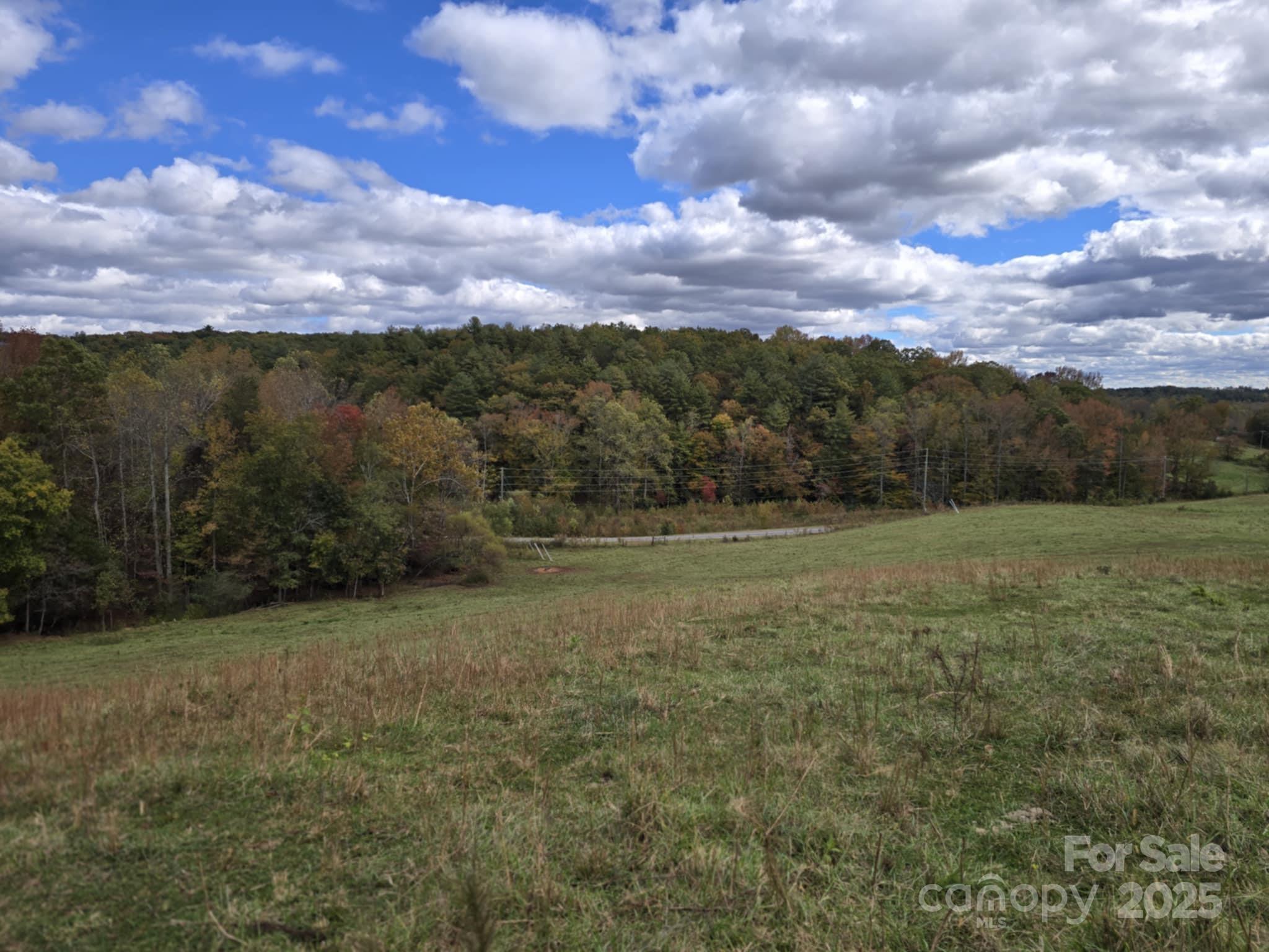 Tbd Wards Gap Road Property Photo 32