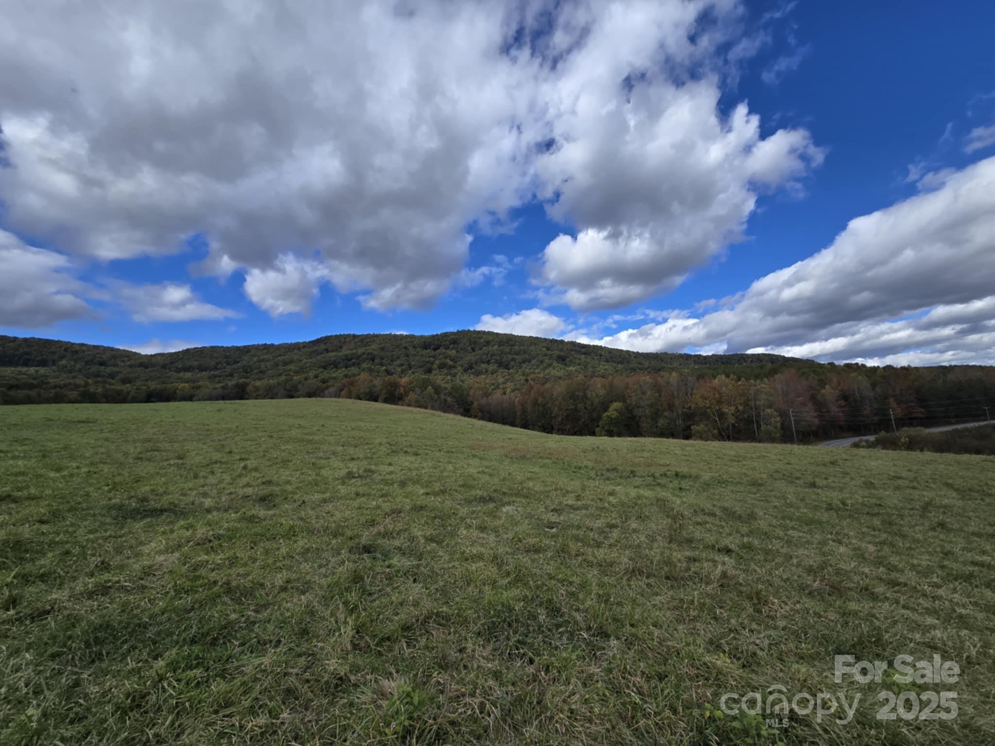 Tbd Wards Gap Road Property Photo 34