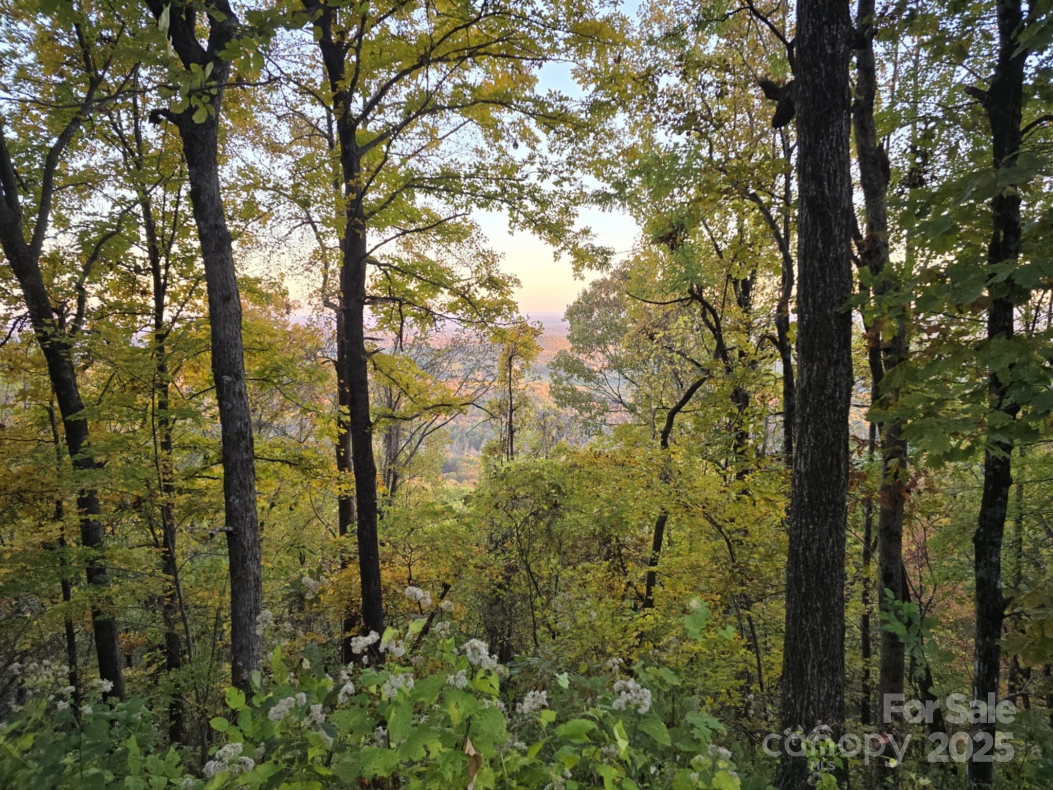 Tbd Wards Gap Road Property Photo 37