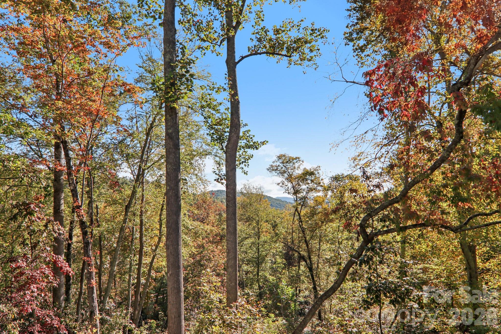 1367 Old Mill Road Property Photo 33