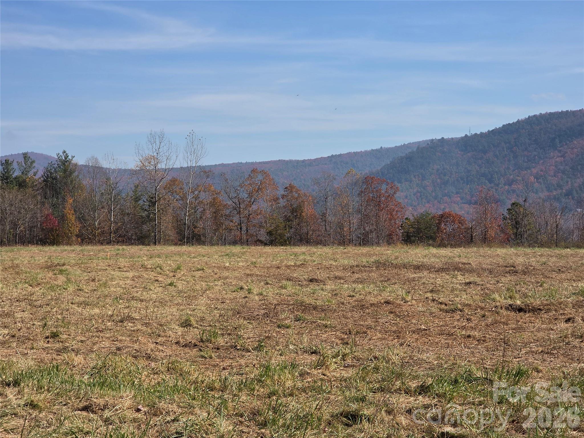 00 Hwy 221 Highway Property Photo 9