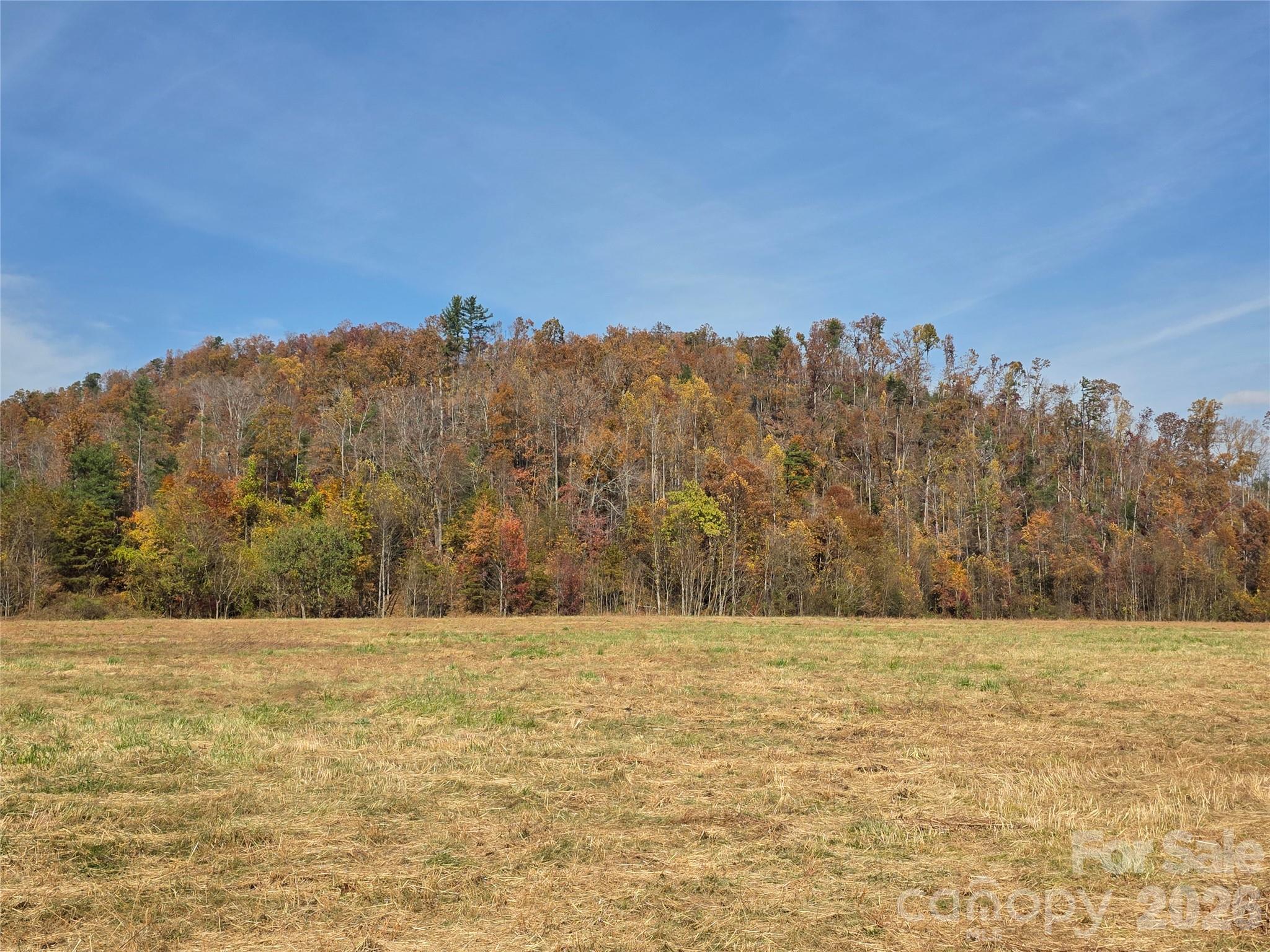00 Hwy 221 Highway Property Photo 10