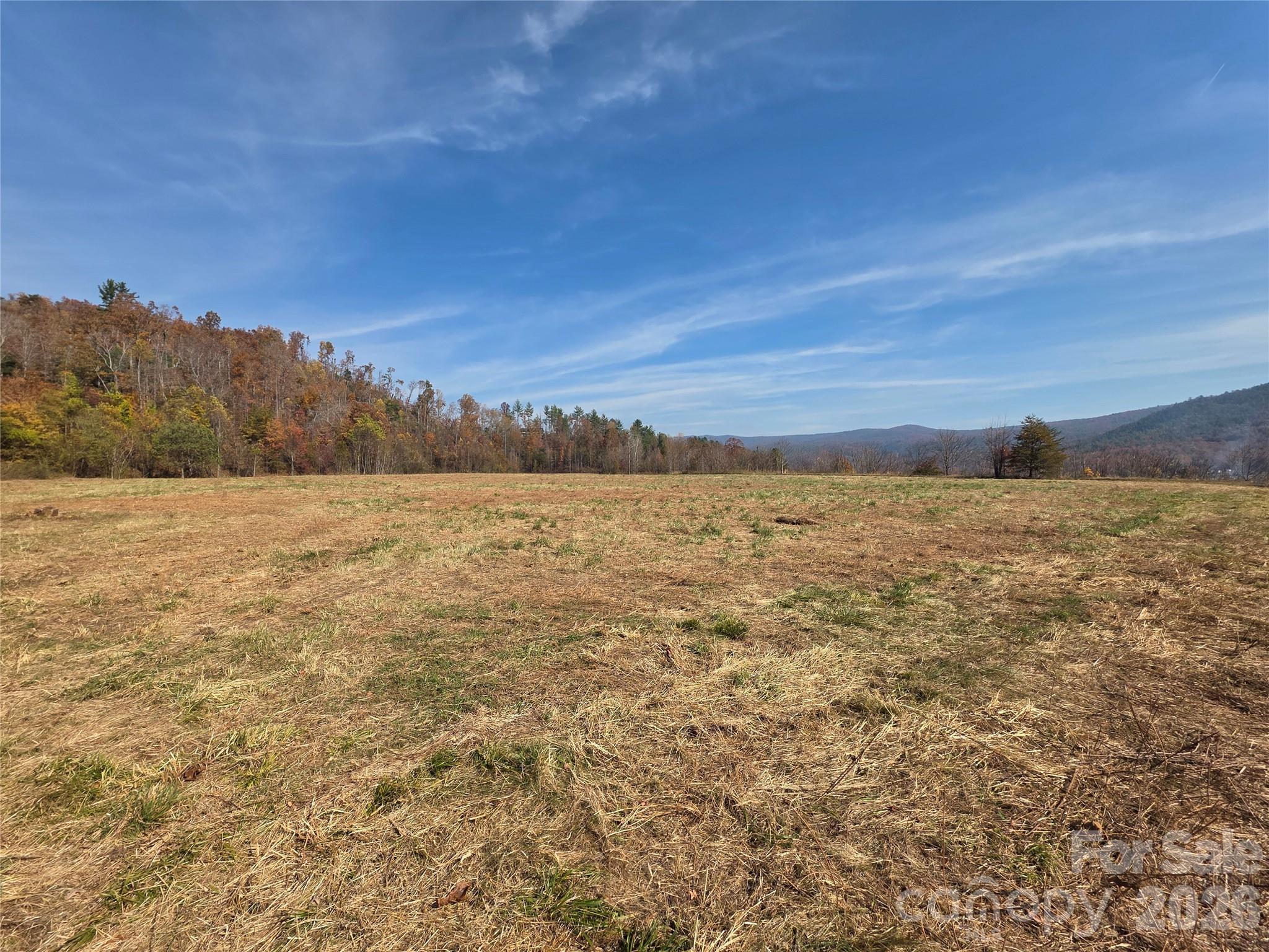 00 Hwy 221 Highway Property Photo 13
