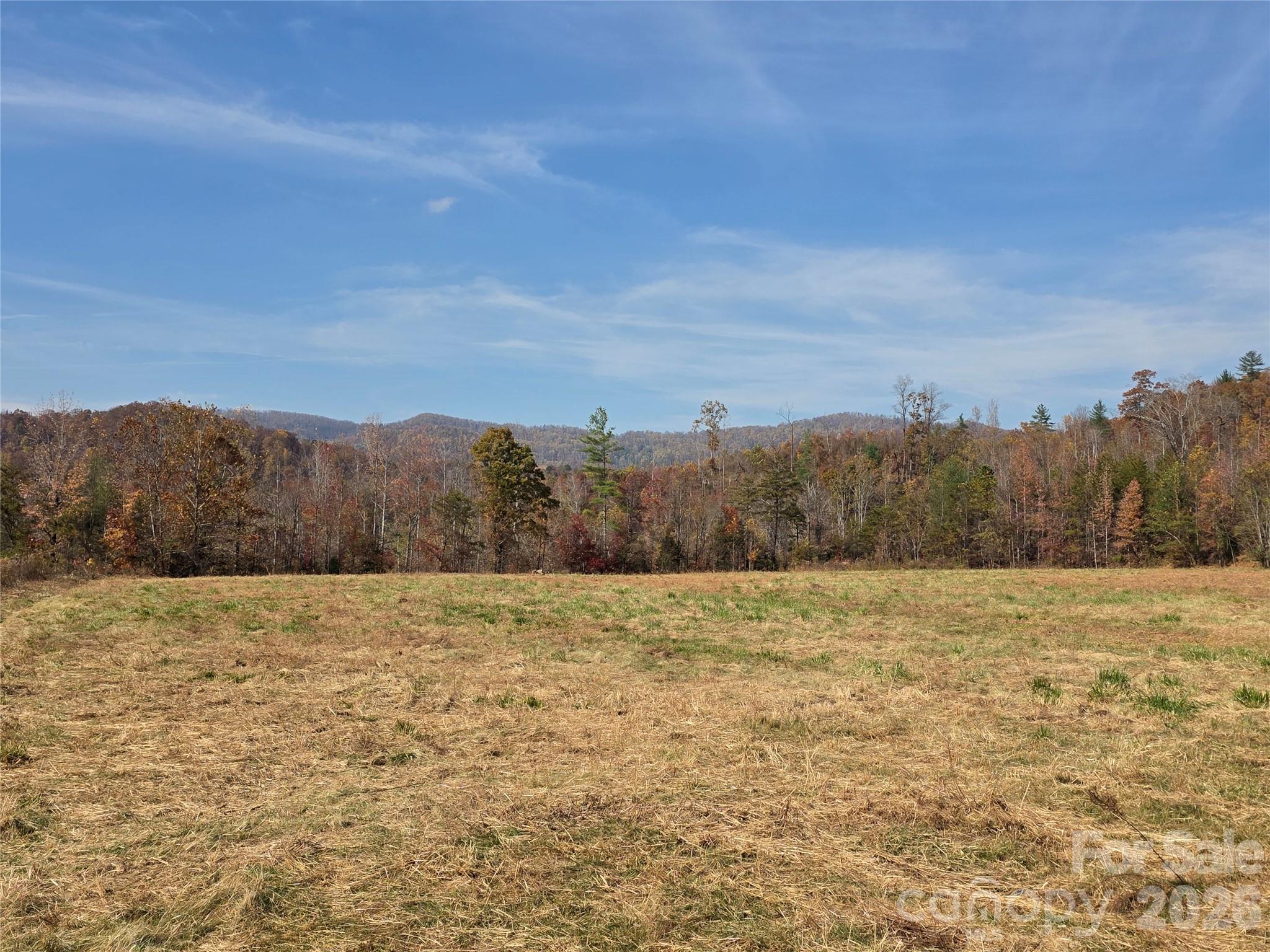 00 Hwy 221 Highway Property Photo 14