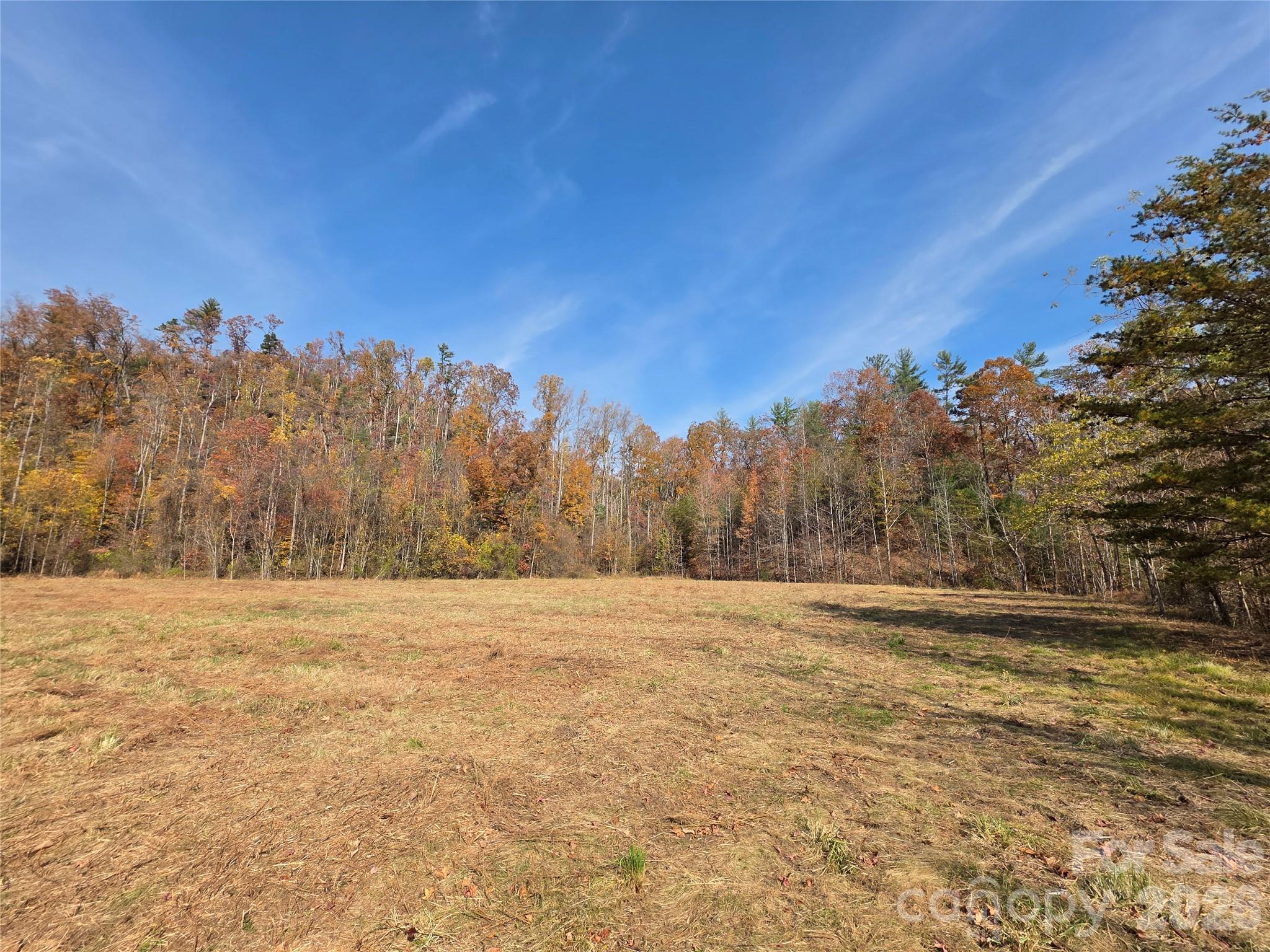 00 Hwy 221 Highway Property Photo 15