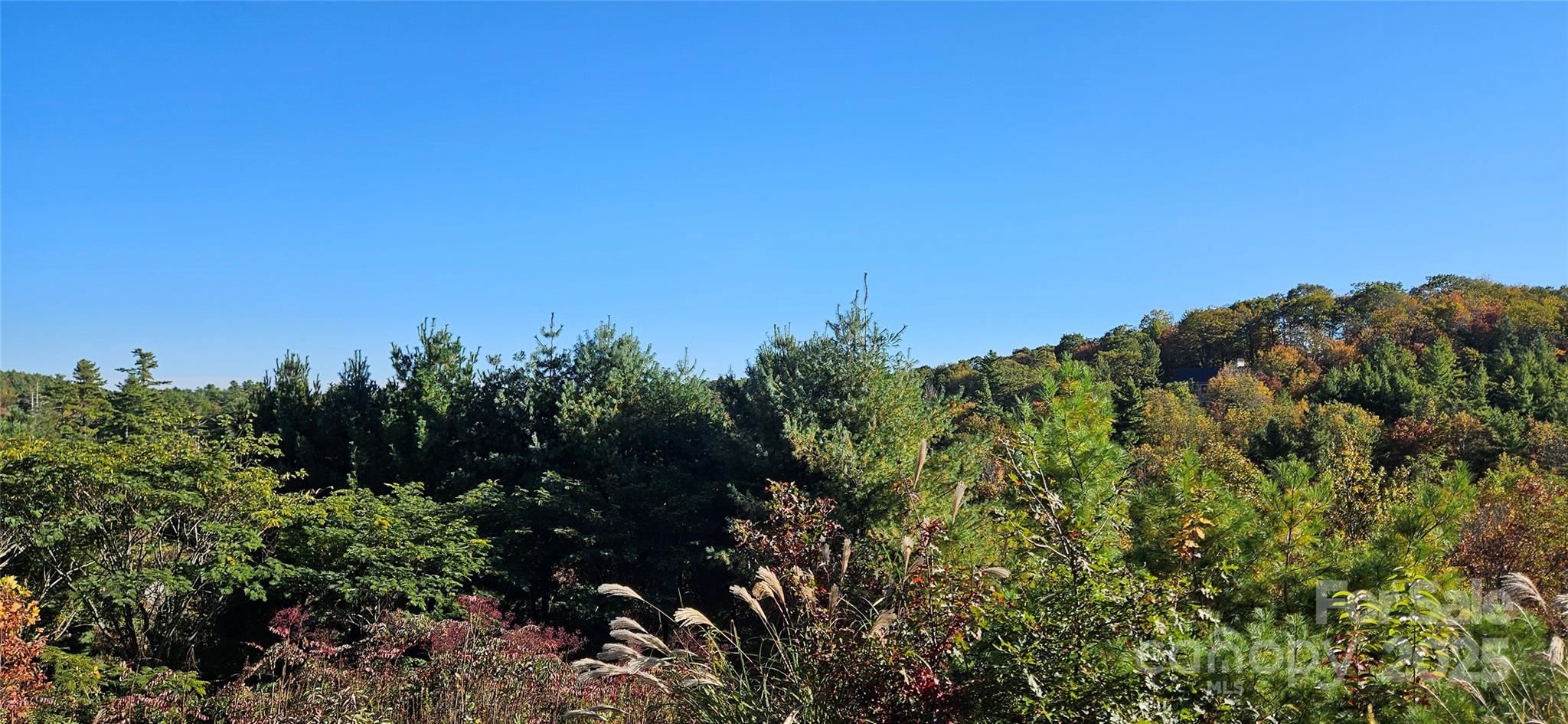 0 Clarktown Road Property Photo 1