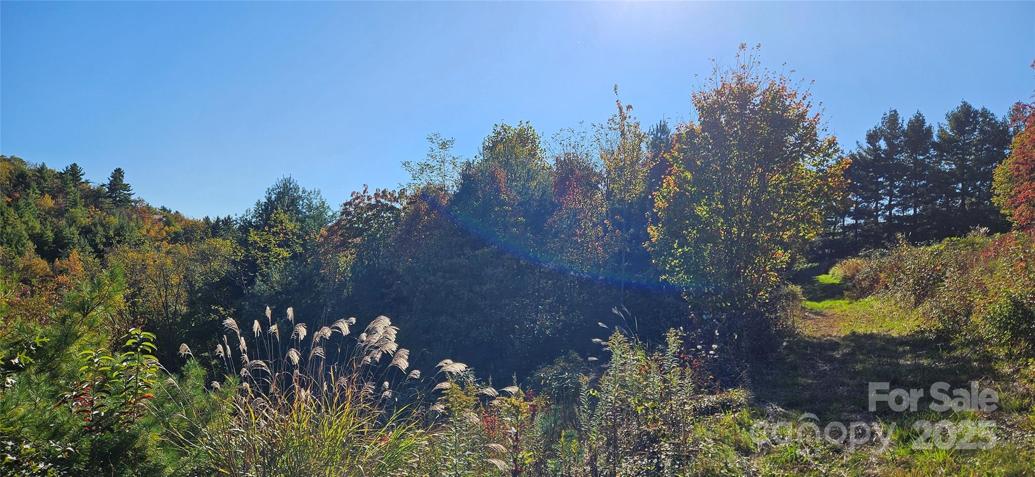0 Clarktown Road Property Photo 5