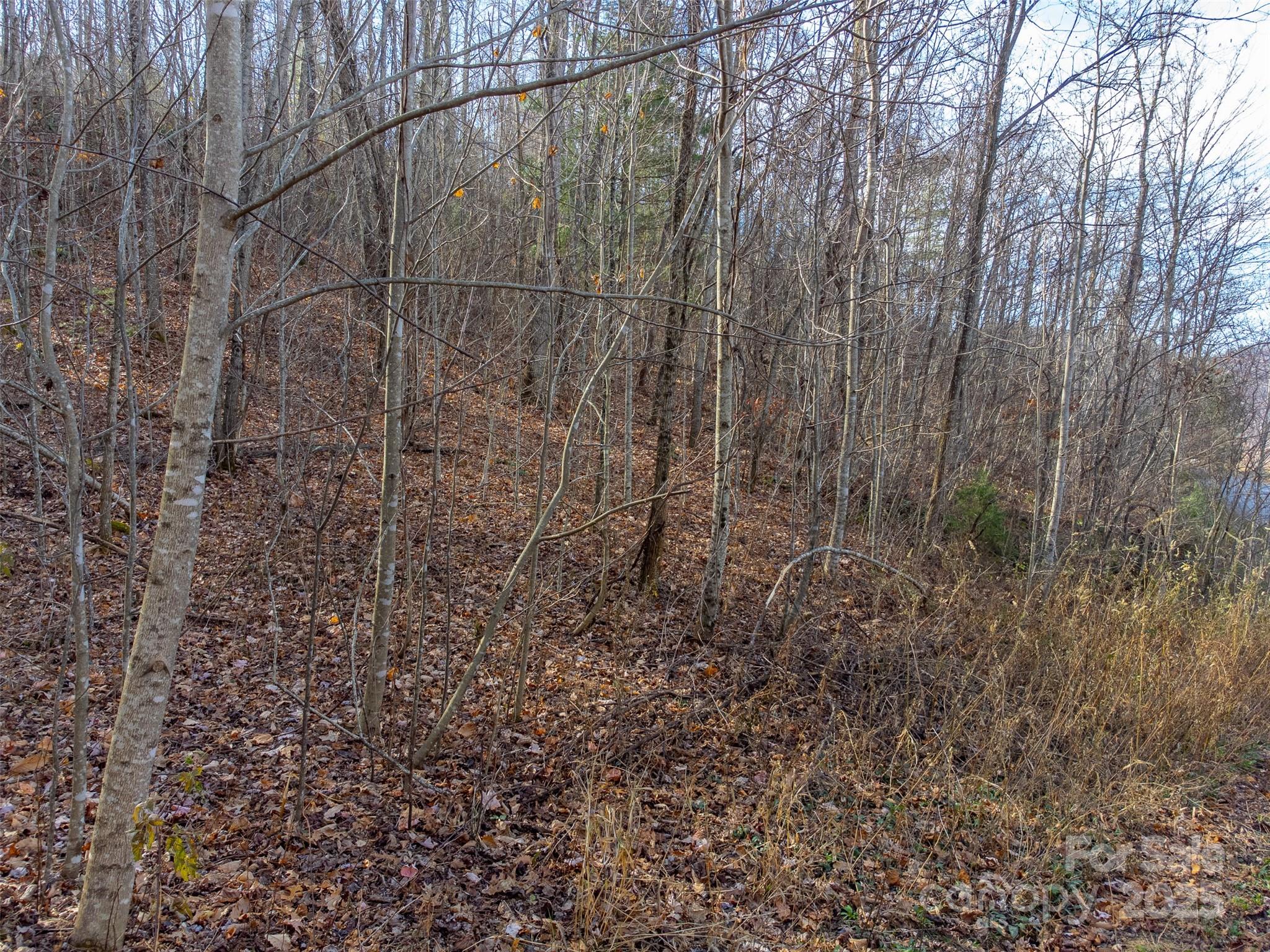 00 Garnet Road Property Photo 16