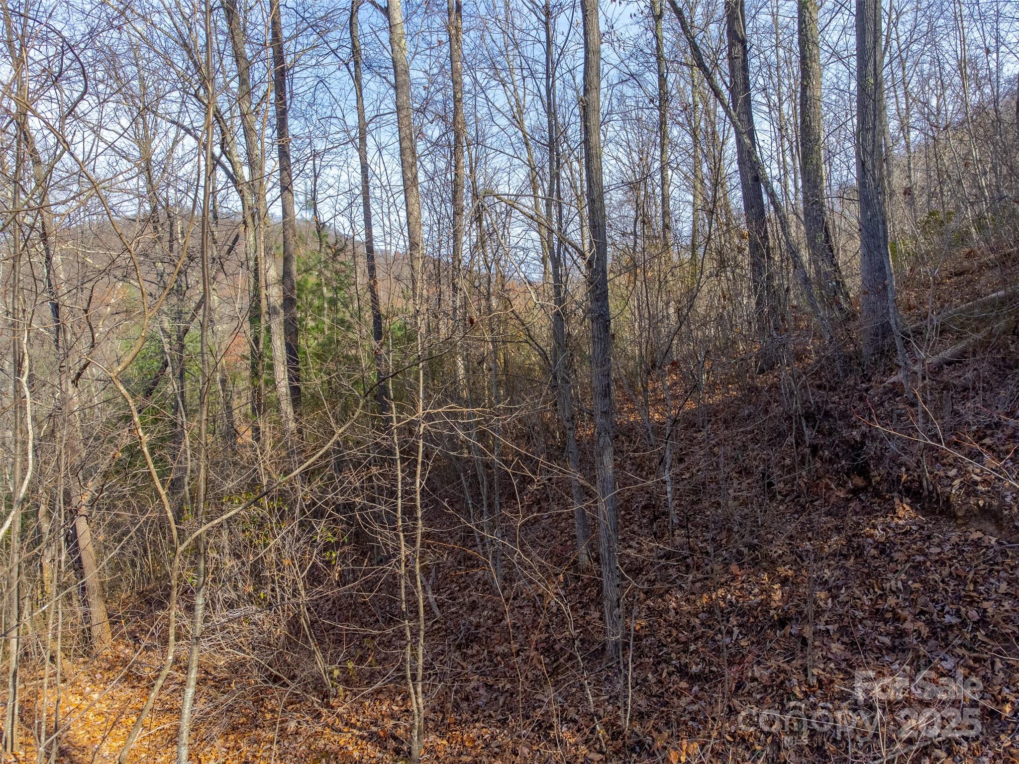 00 Garnet Road Property Photo 17
