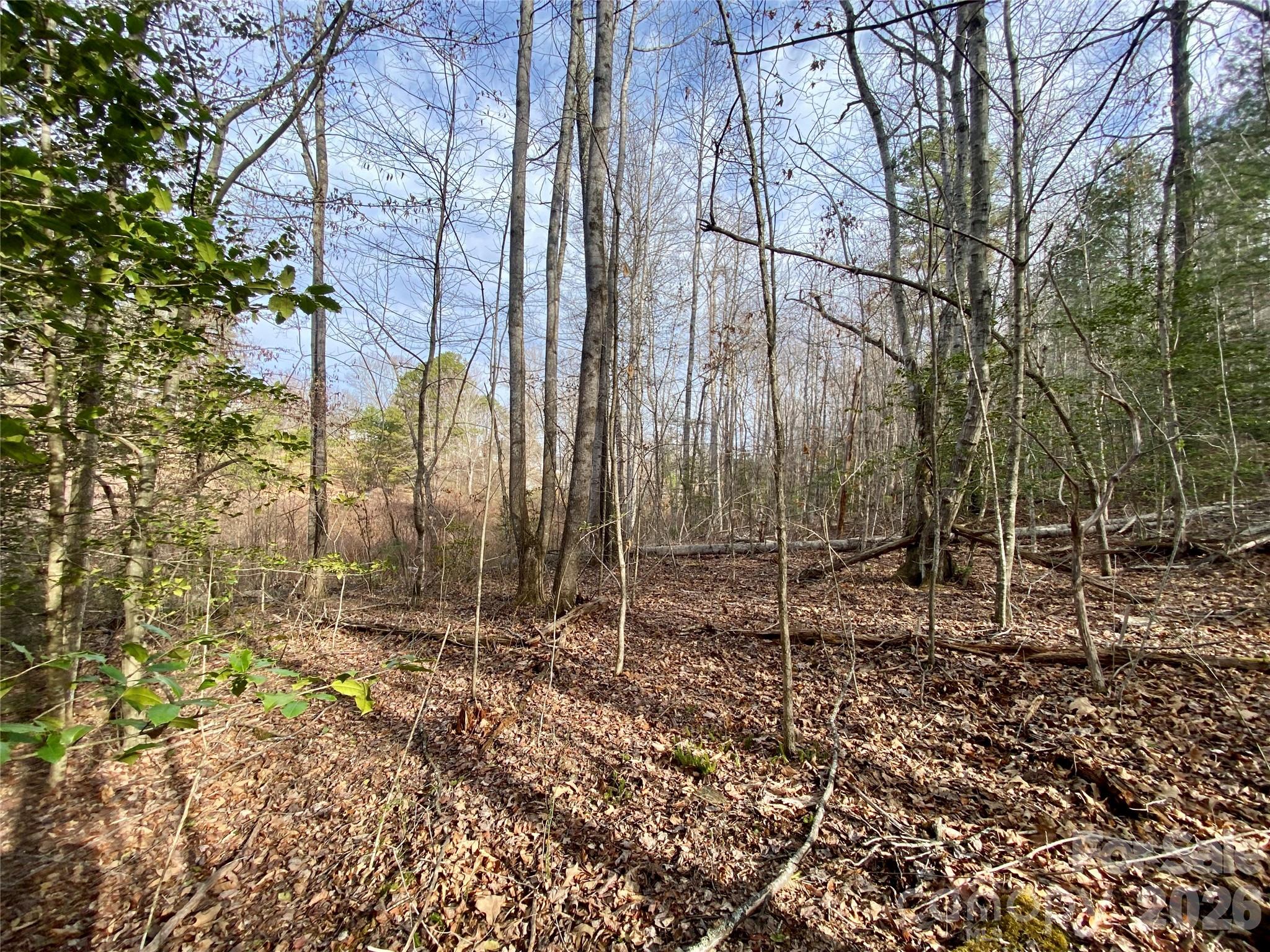 99999 Willow Creek Drive 2 Property Photo 8