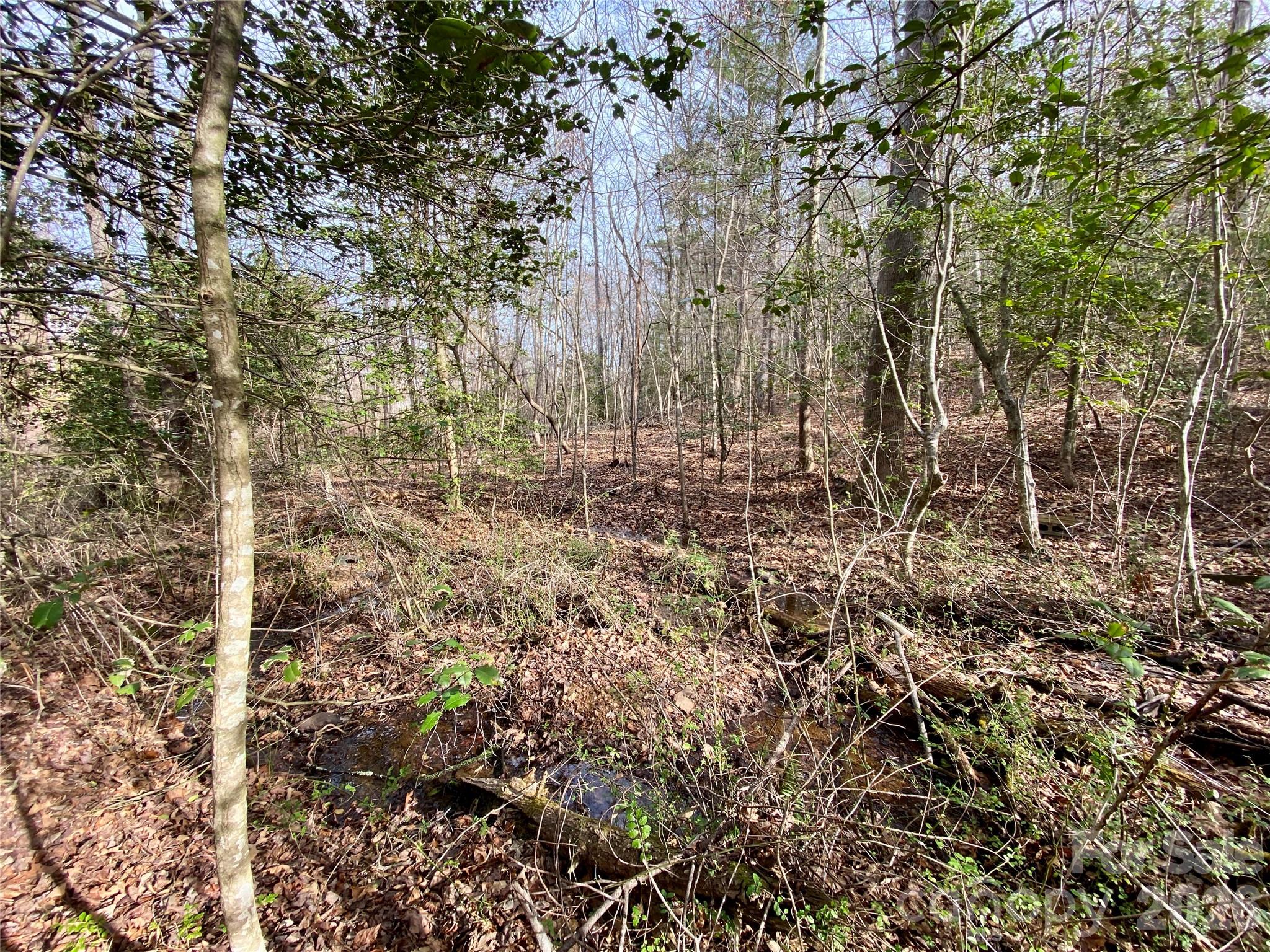 99999 Willow Creek Drive 2 Property Photo 11