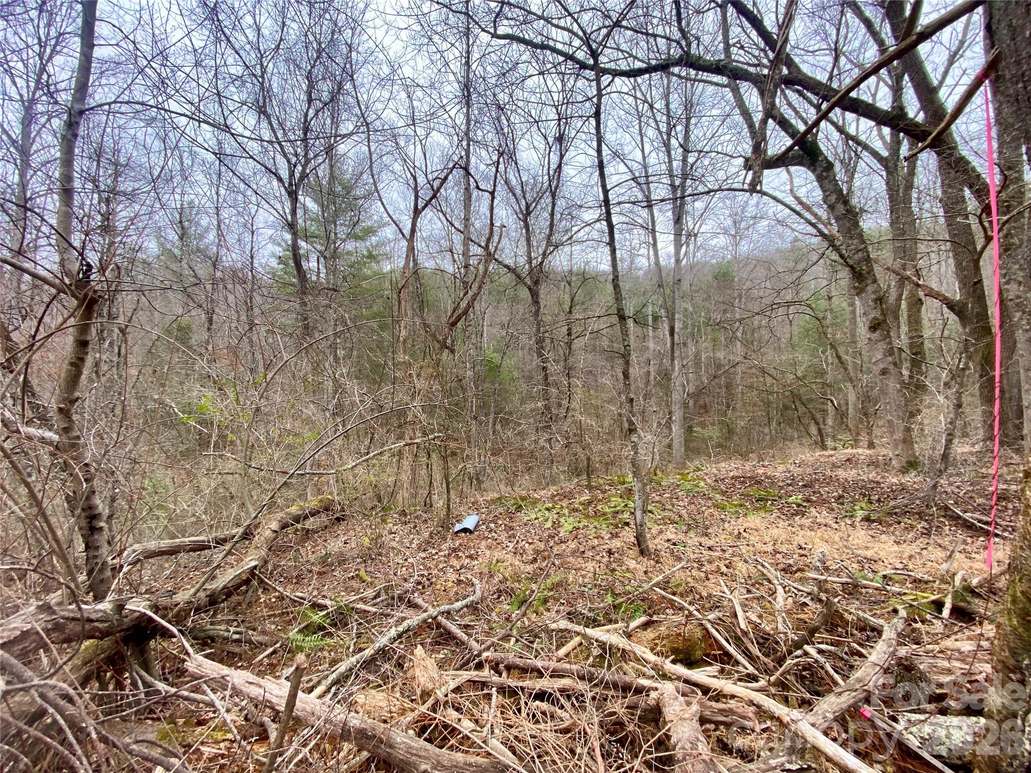 99999 Willow Creek Drive 2 Property Photo 16