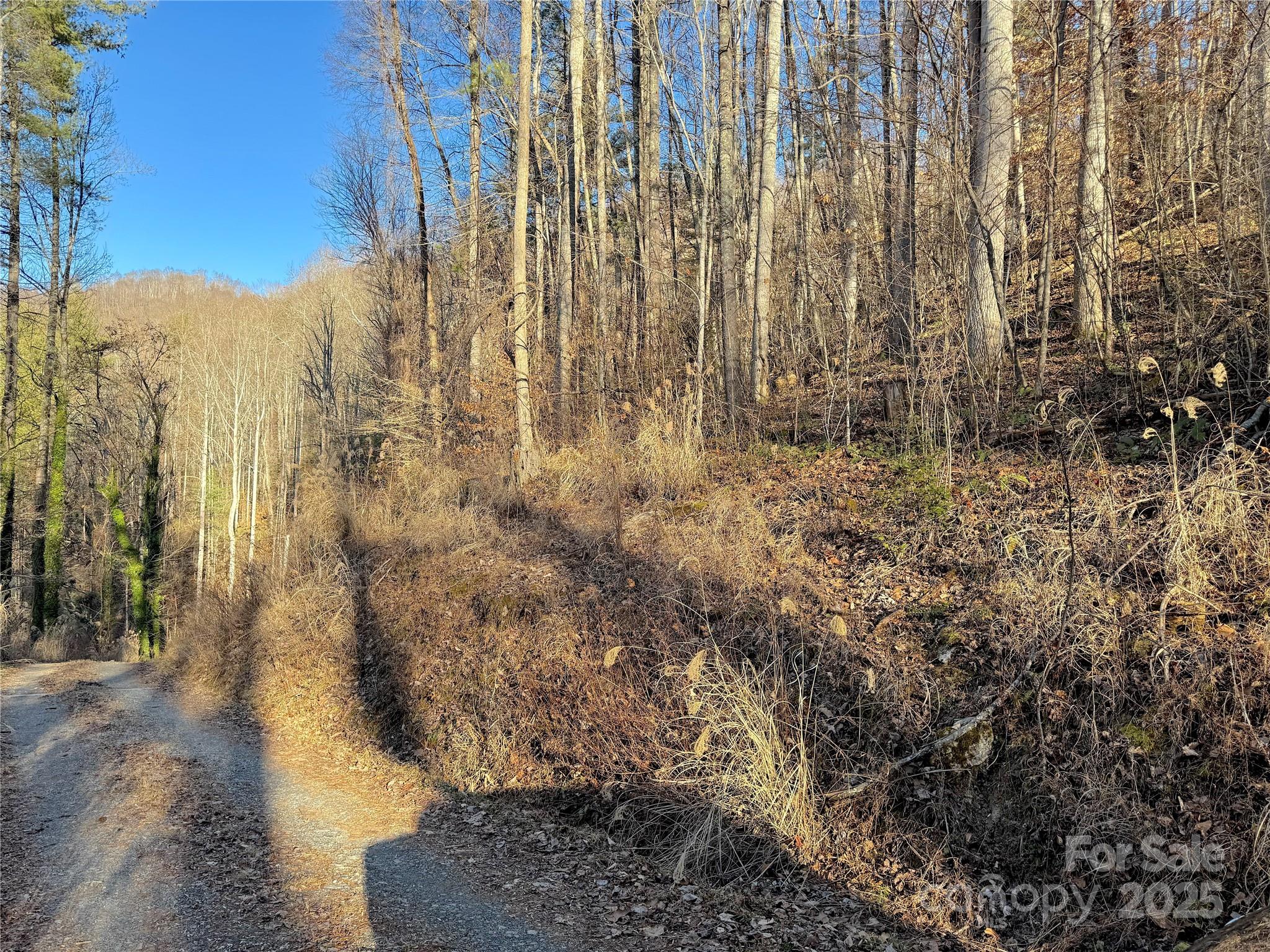 Tbd Timberside Drive Property Photo 1