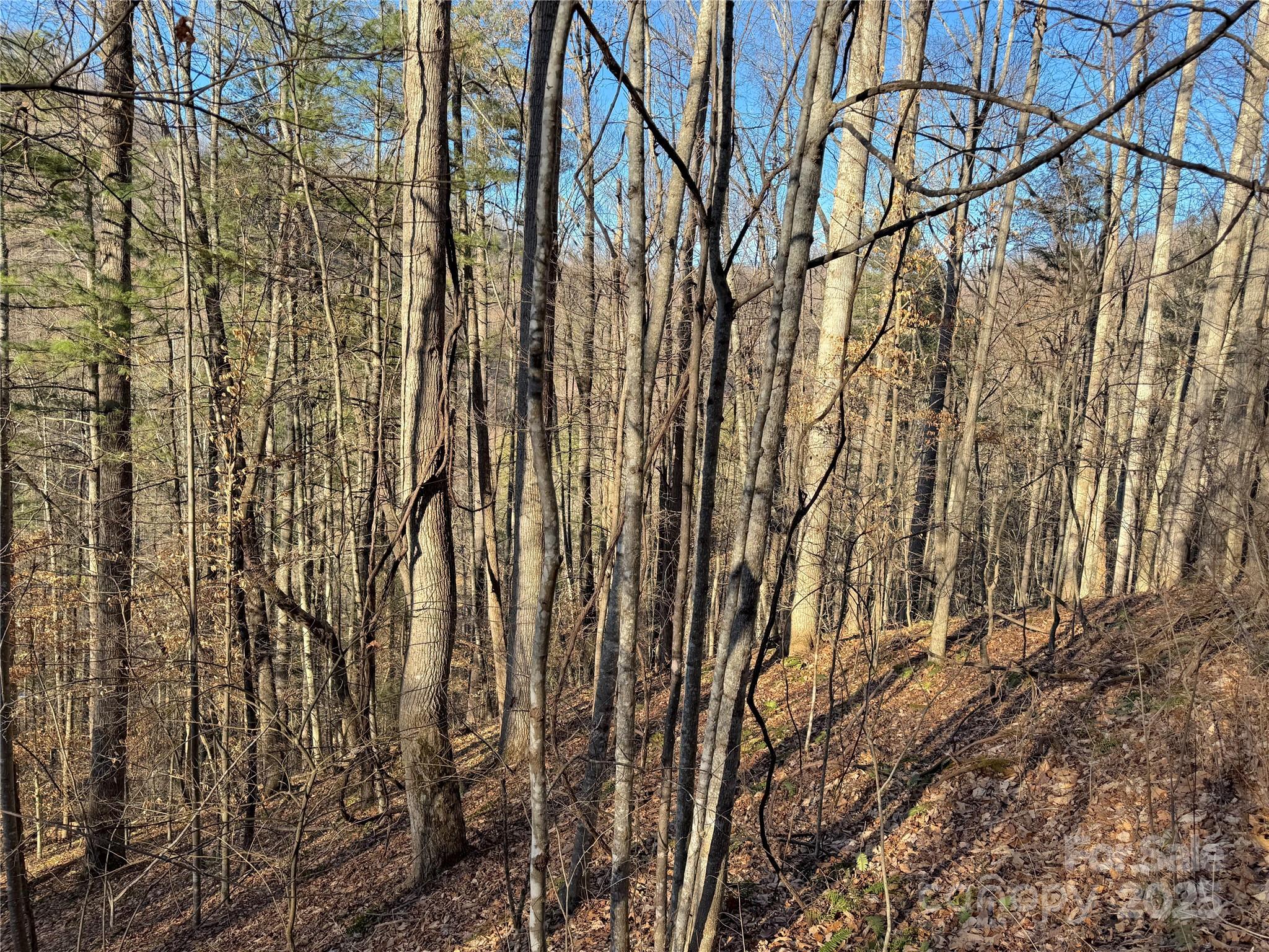 Tbd Timberside Drive Property Photo 2