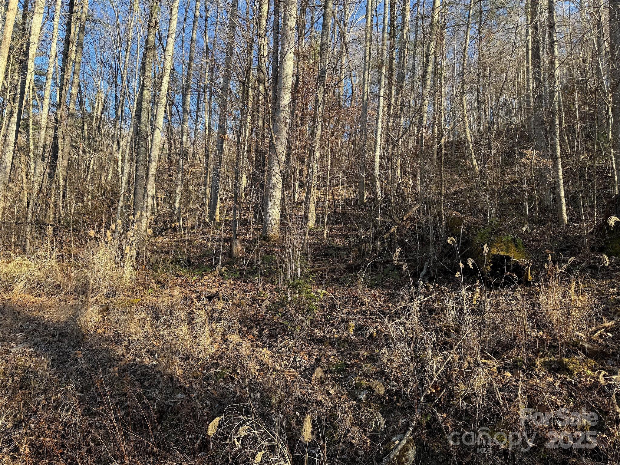 Tbd Timberside Drive Property Photo 3