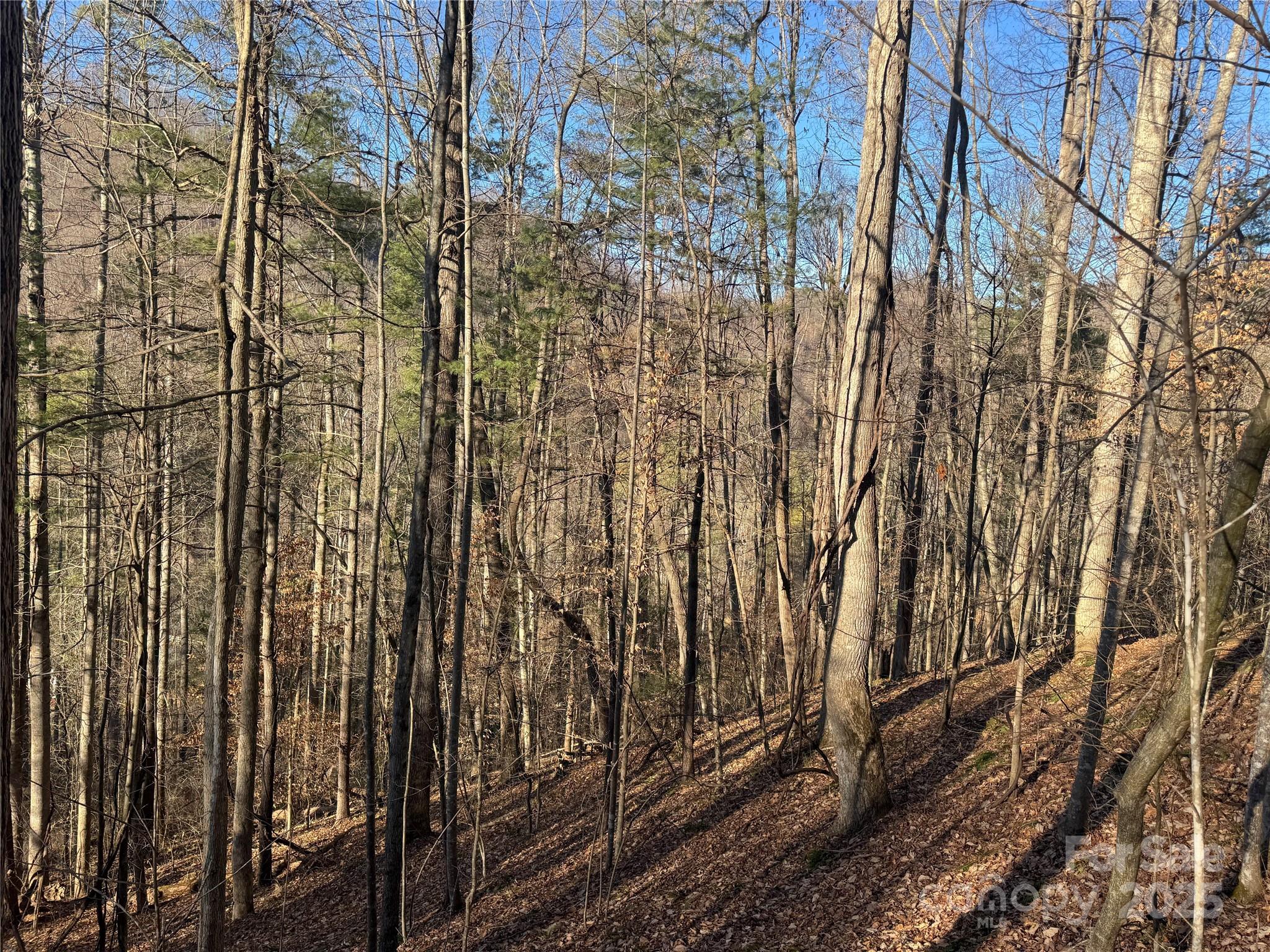 Tbd Timberside Drive Property Photo 4