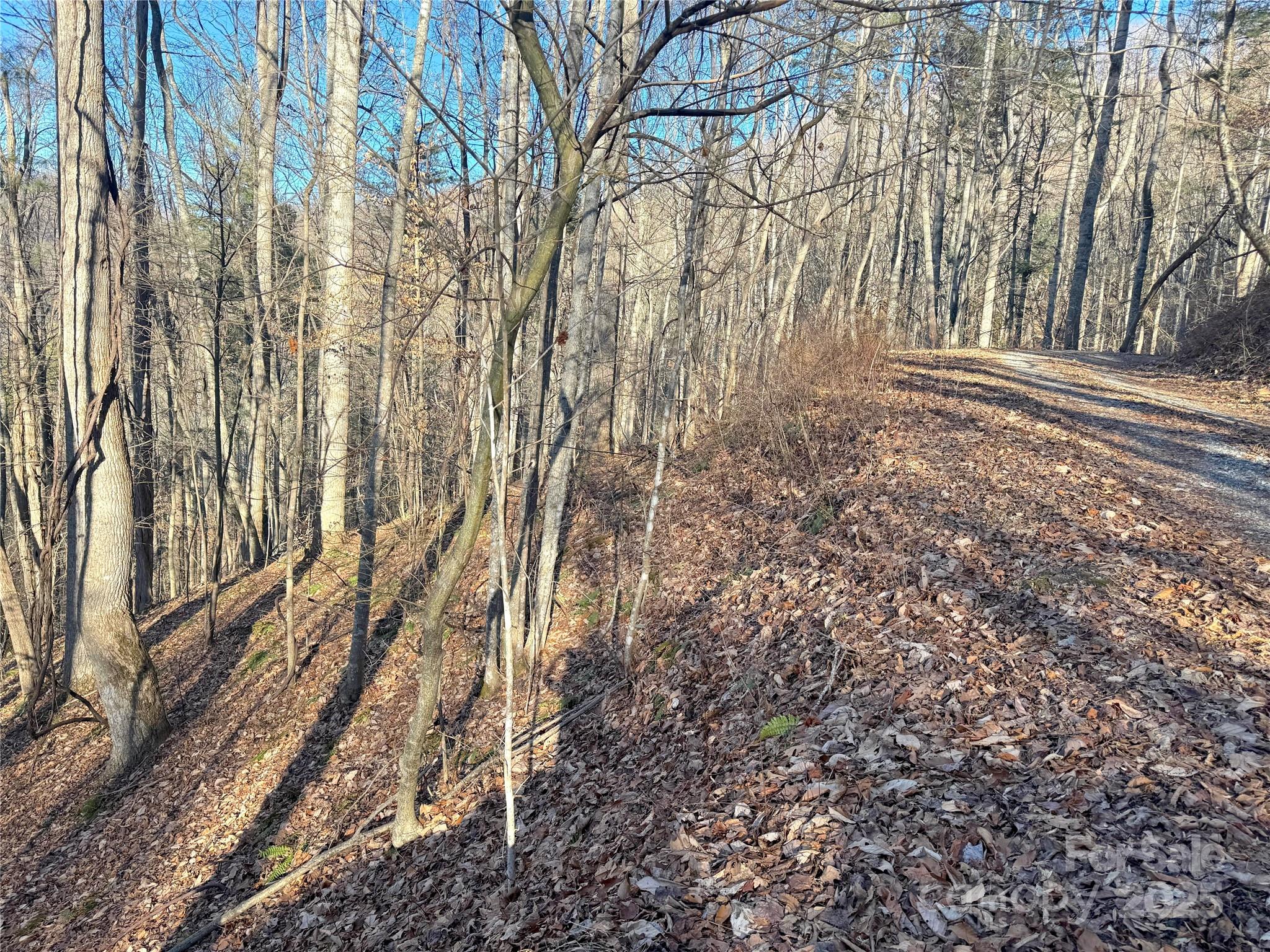 Tbd Timberside Drive Property Photo 5