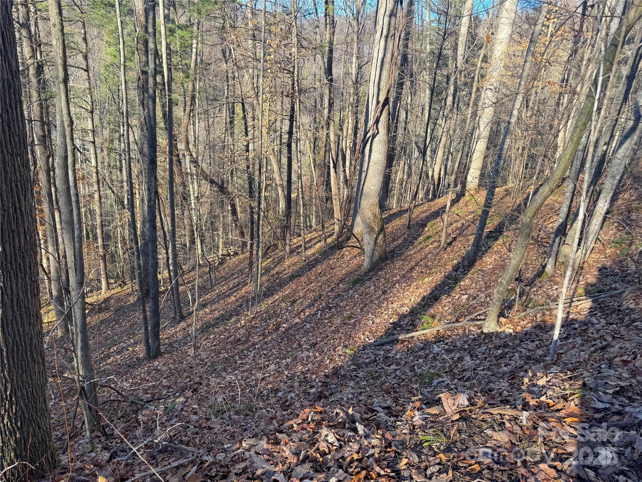Tbd Timberside Drive Property Photo 6