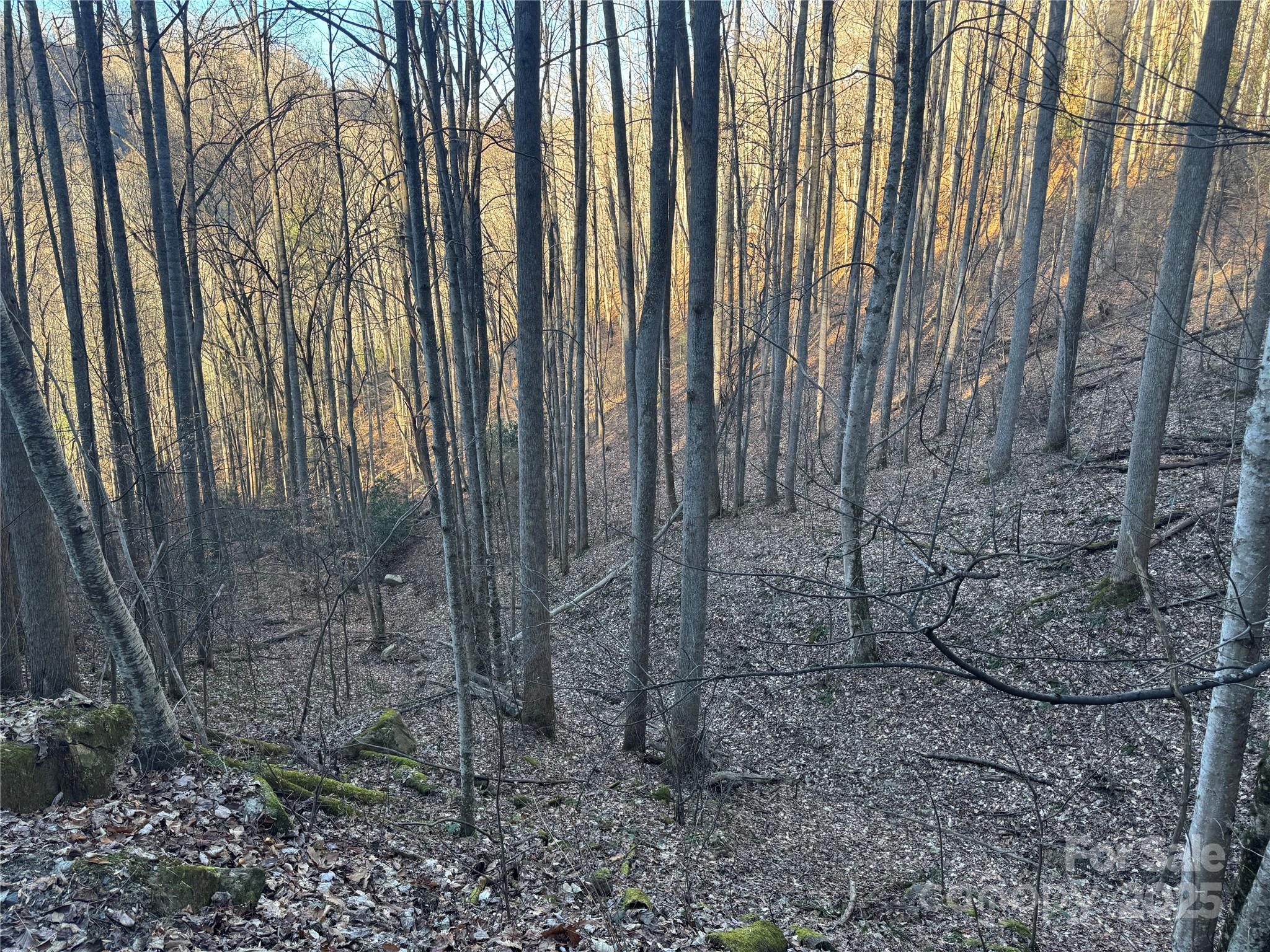 Tbd Timberside Drive Property Photo 12