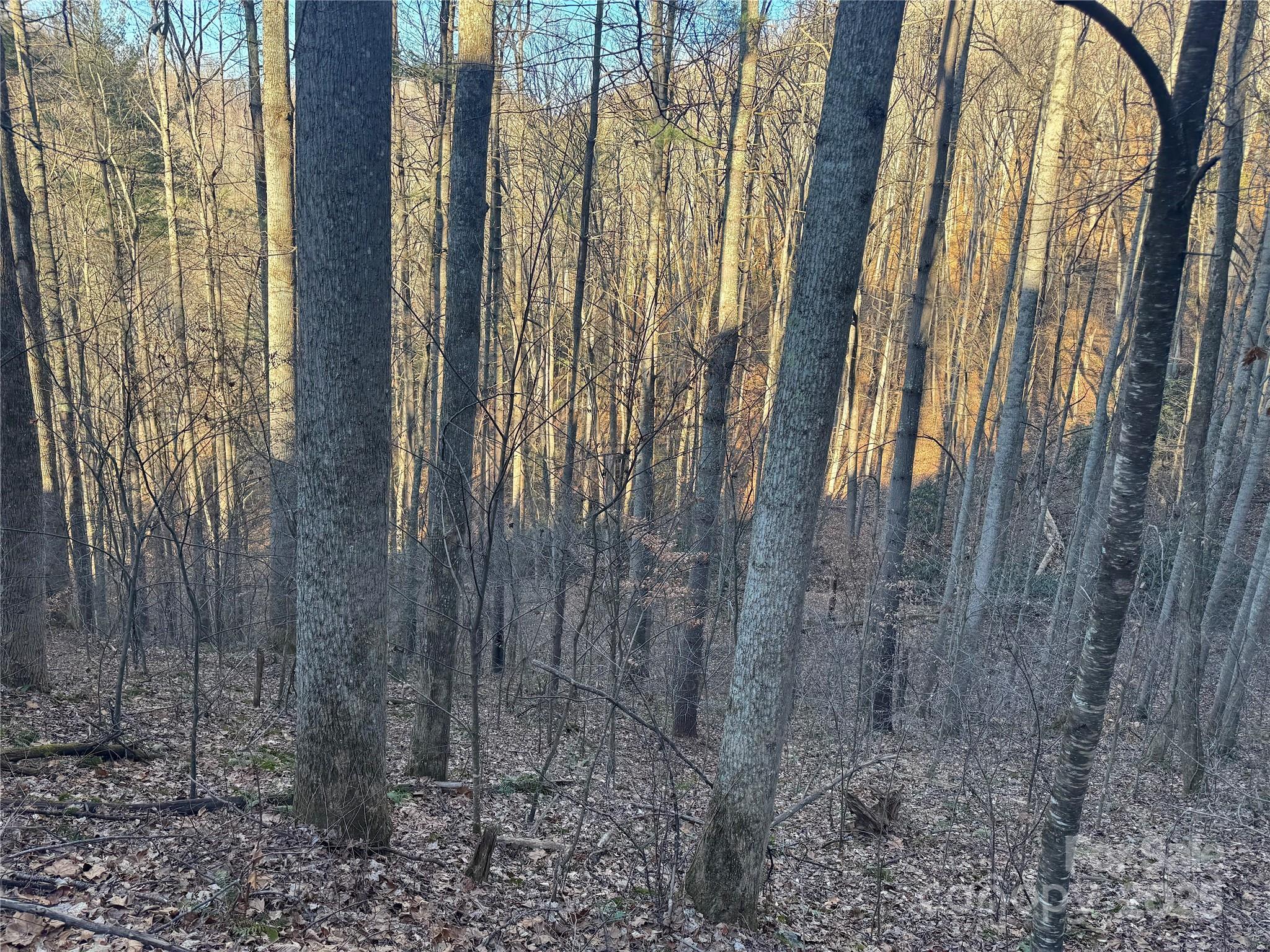 Tbd Timberside Drive Property Photo 13