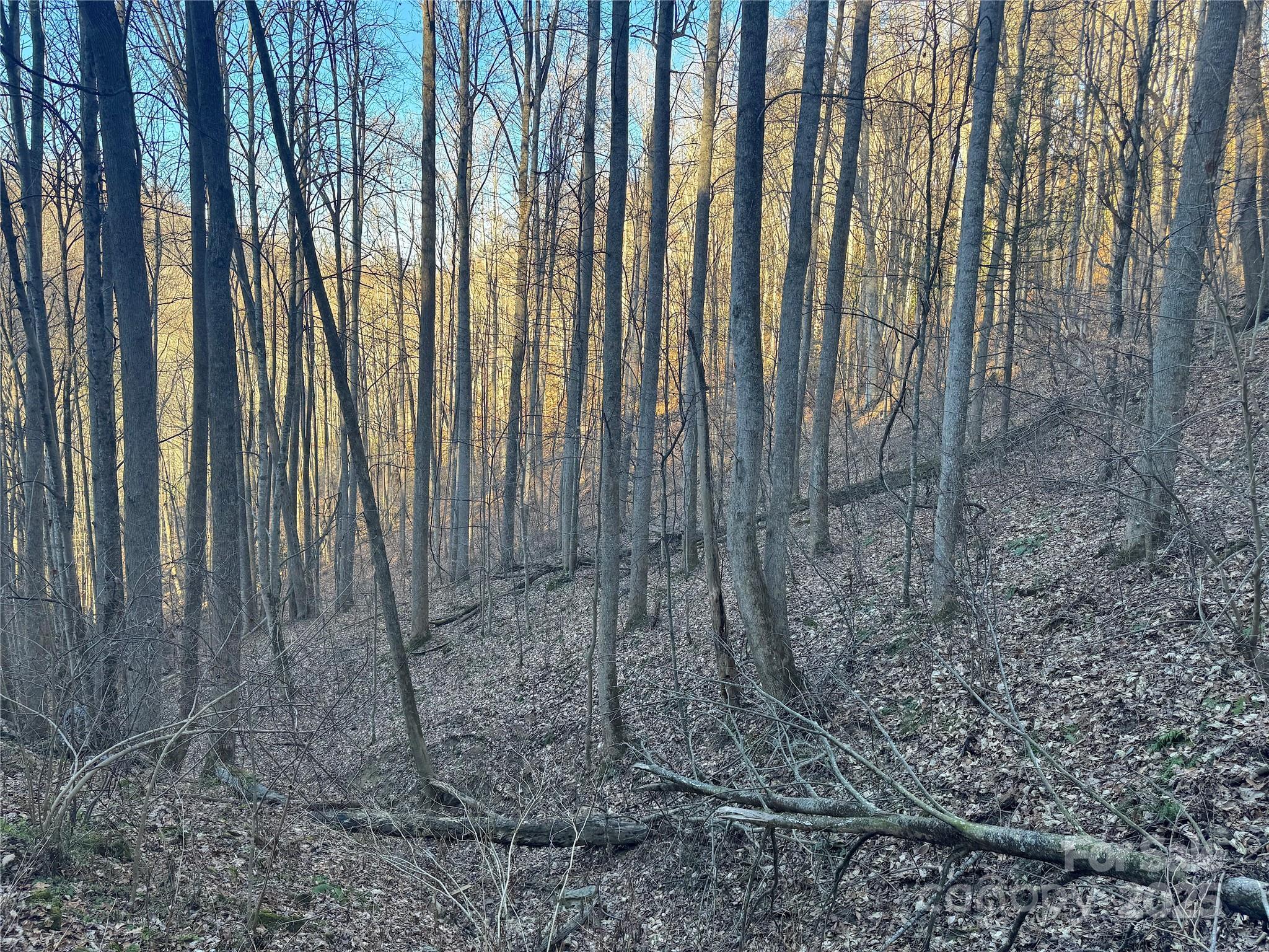 Tbd Timberside Drive Property Photo 15