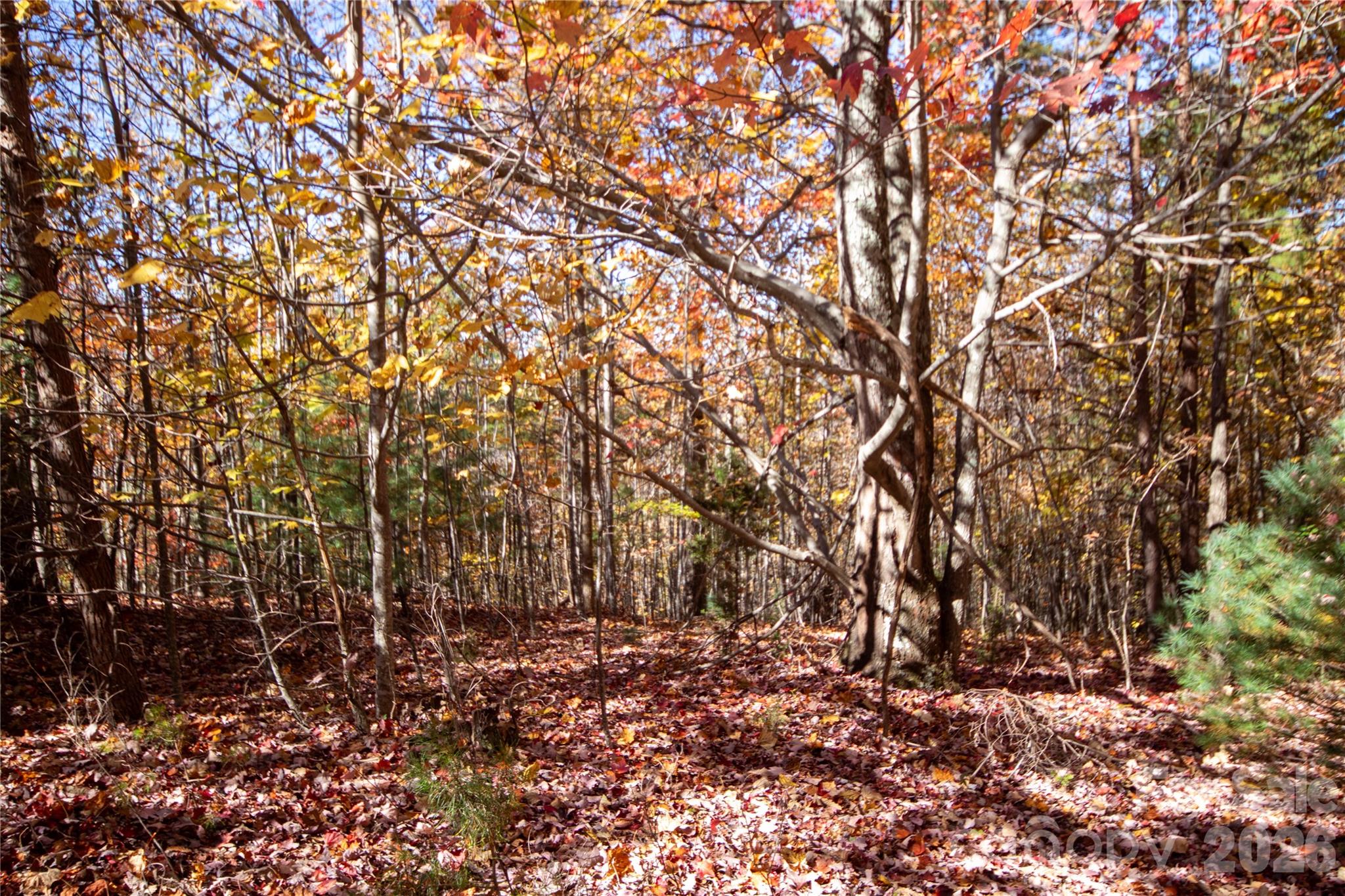 Lot# 4 Peregrine Terrace 4 Property Photo 1