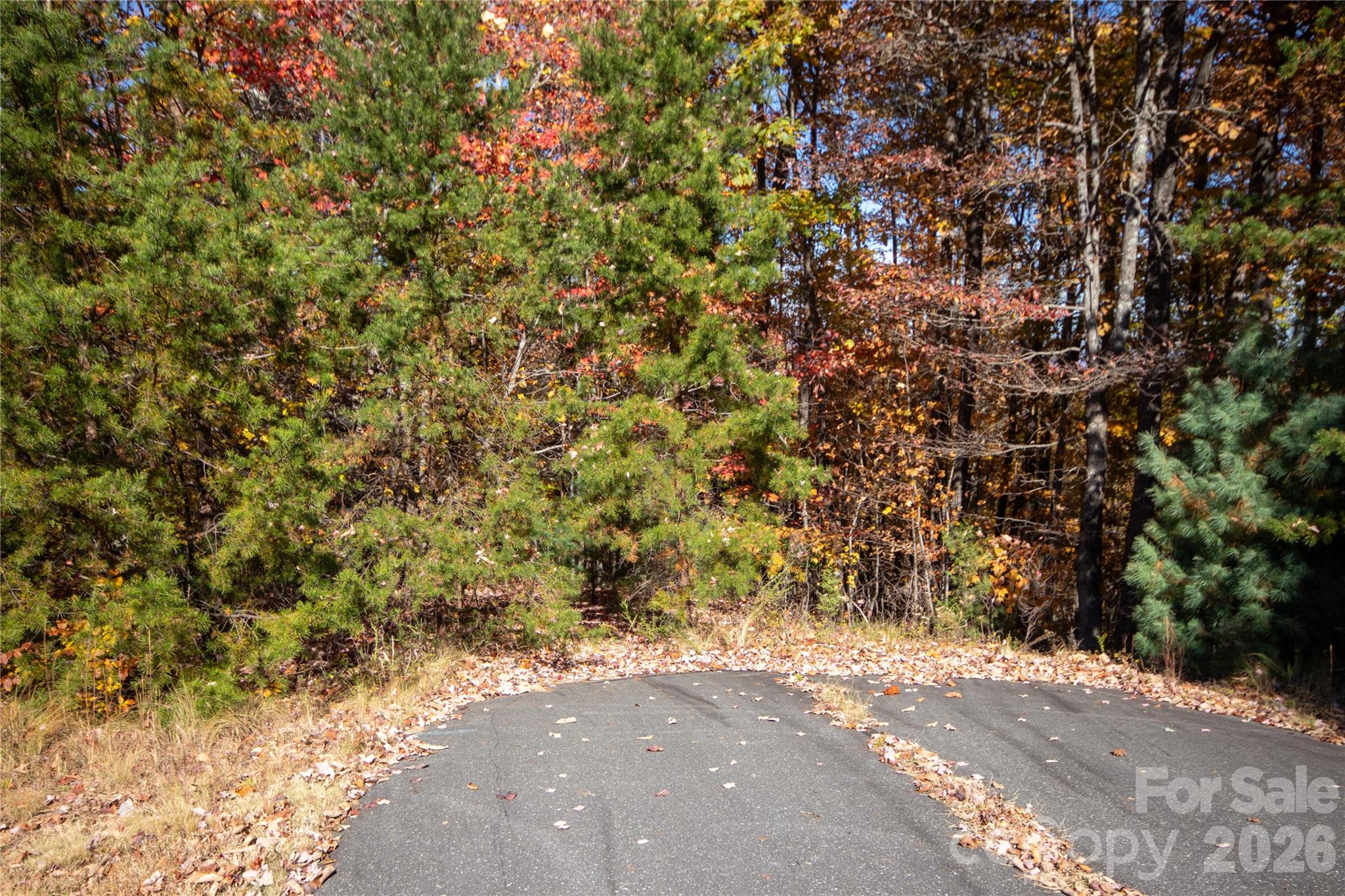 Lot# 4 Peregrine Terrace 4 Property Photo 4