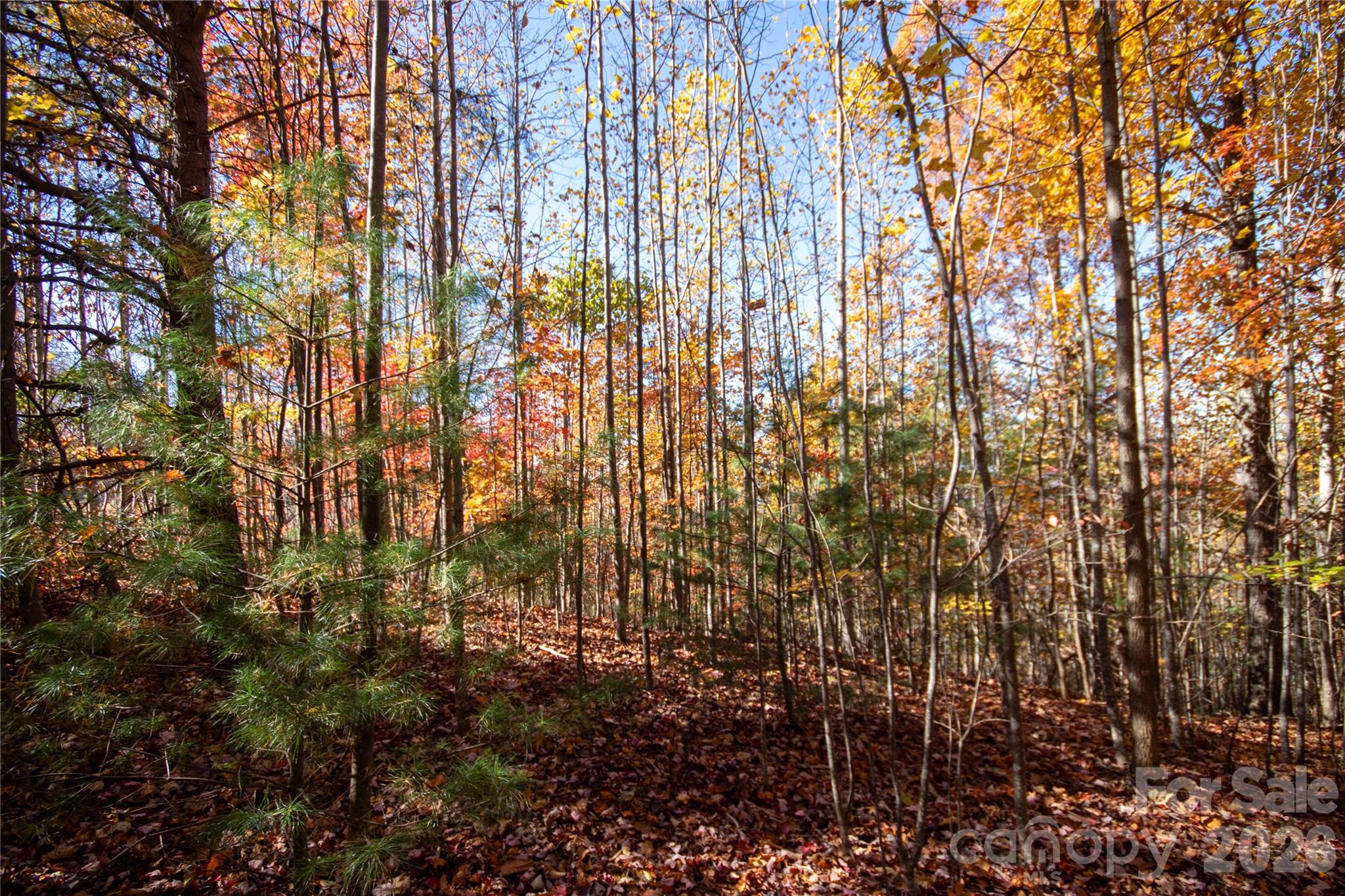 Lot# 4 Peregrine Terrace 4 Property Photo 7