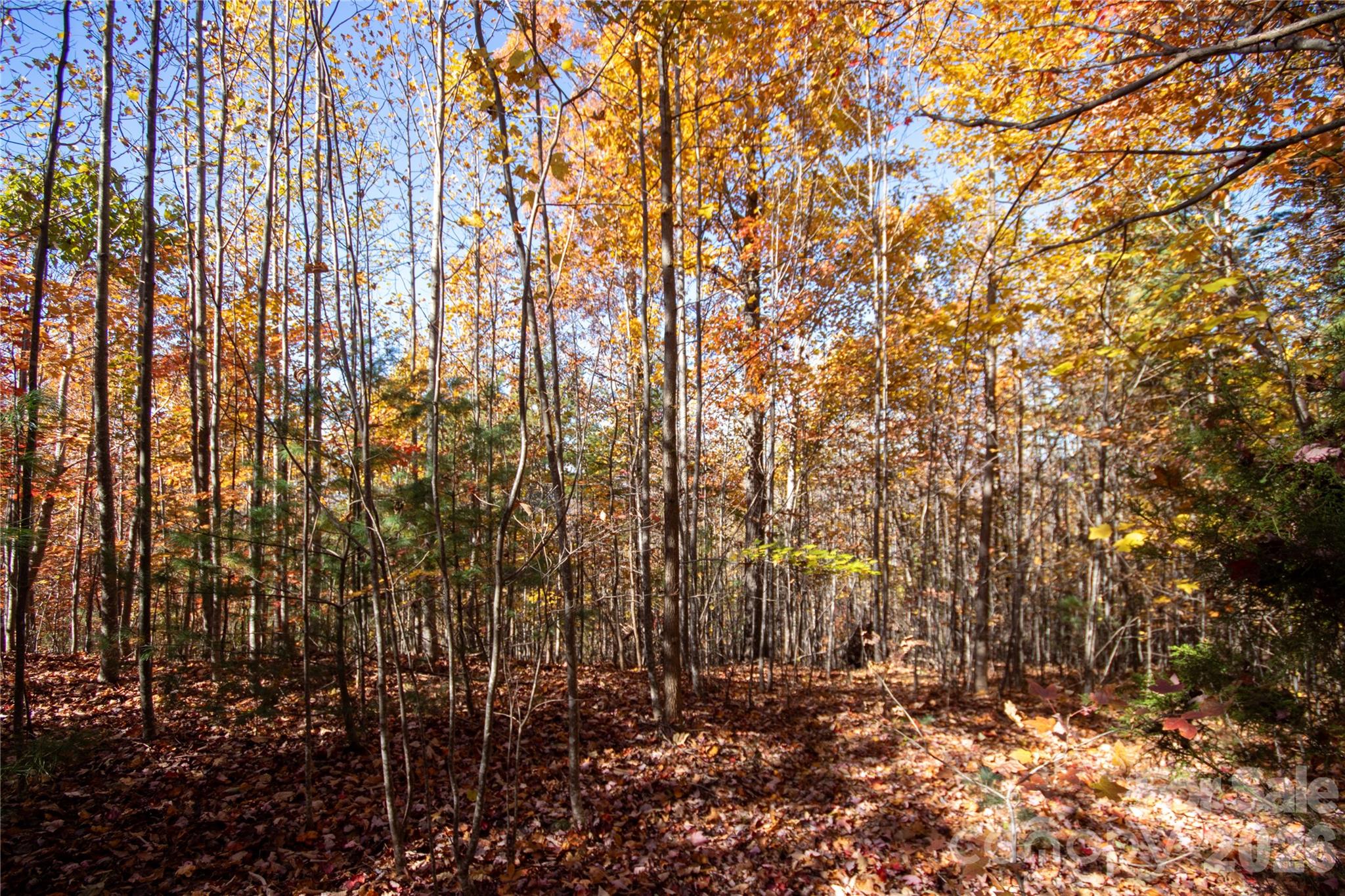 Lot# 4 Peregrine Terrace 4 Property Photo 8