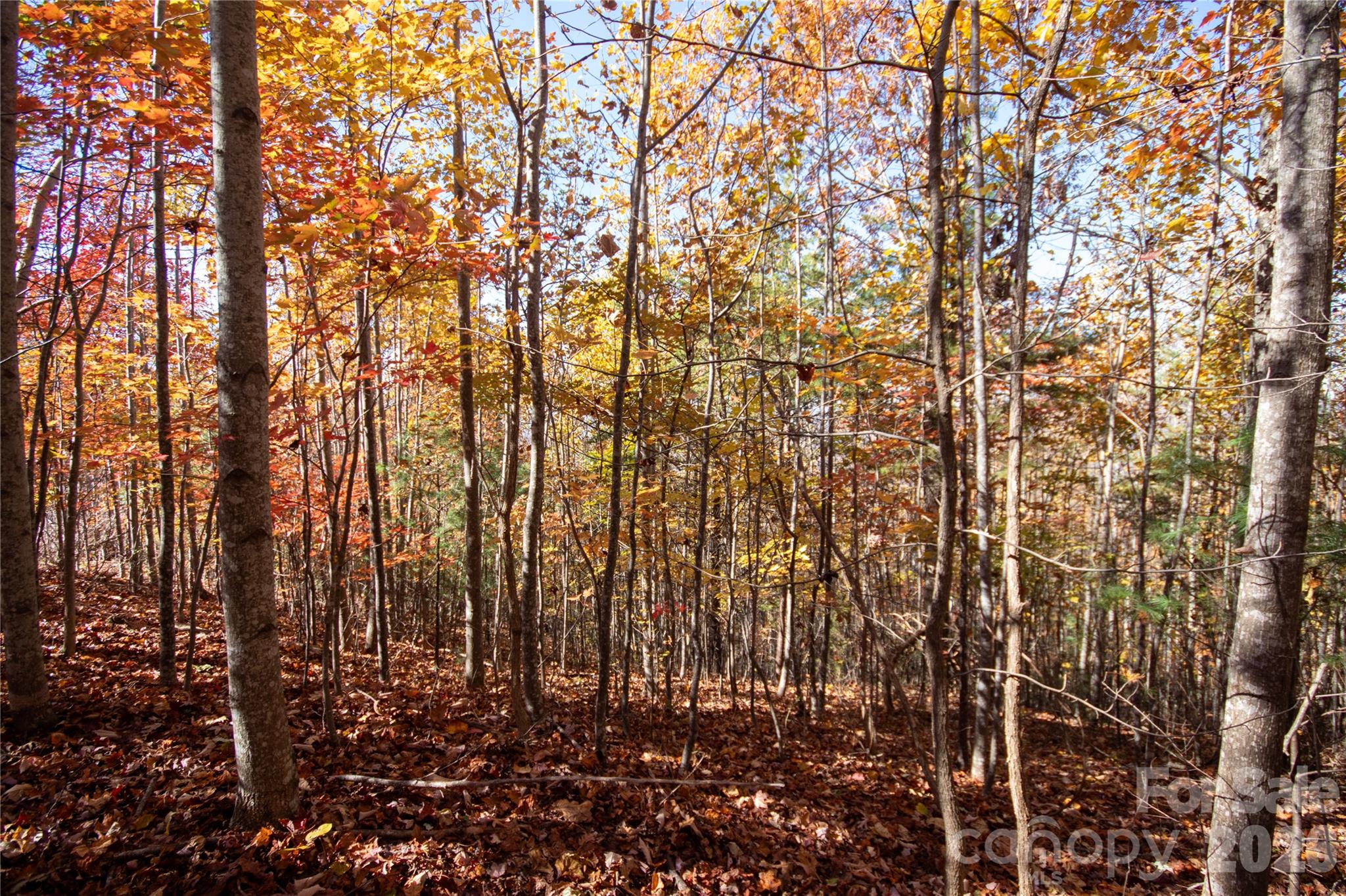 Lot# 4 Peregrine Terrace 4 Property Photo 9
