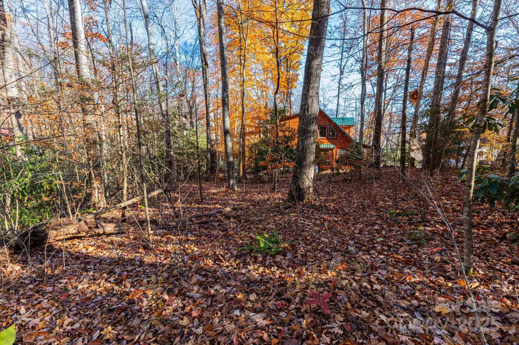 Lot 62 Twinbrook Lane Property Photo 3