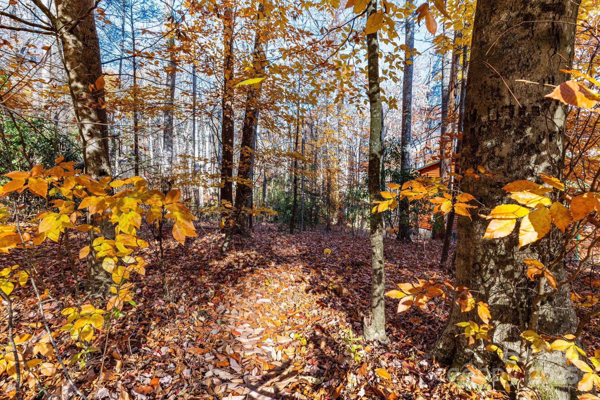 Lot 62 Twinbrook Lane Property Photo 7