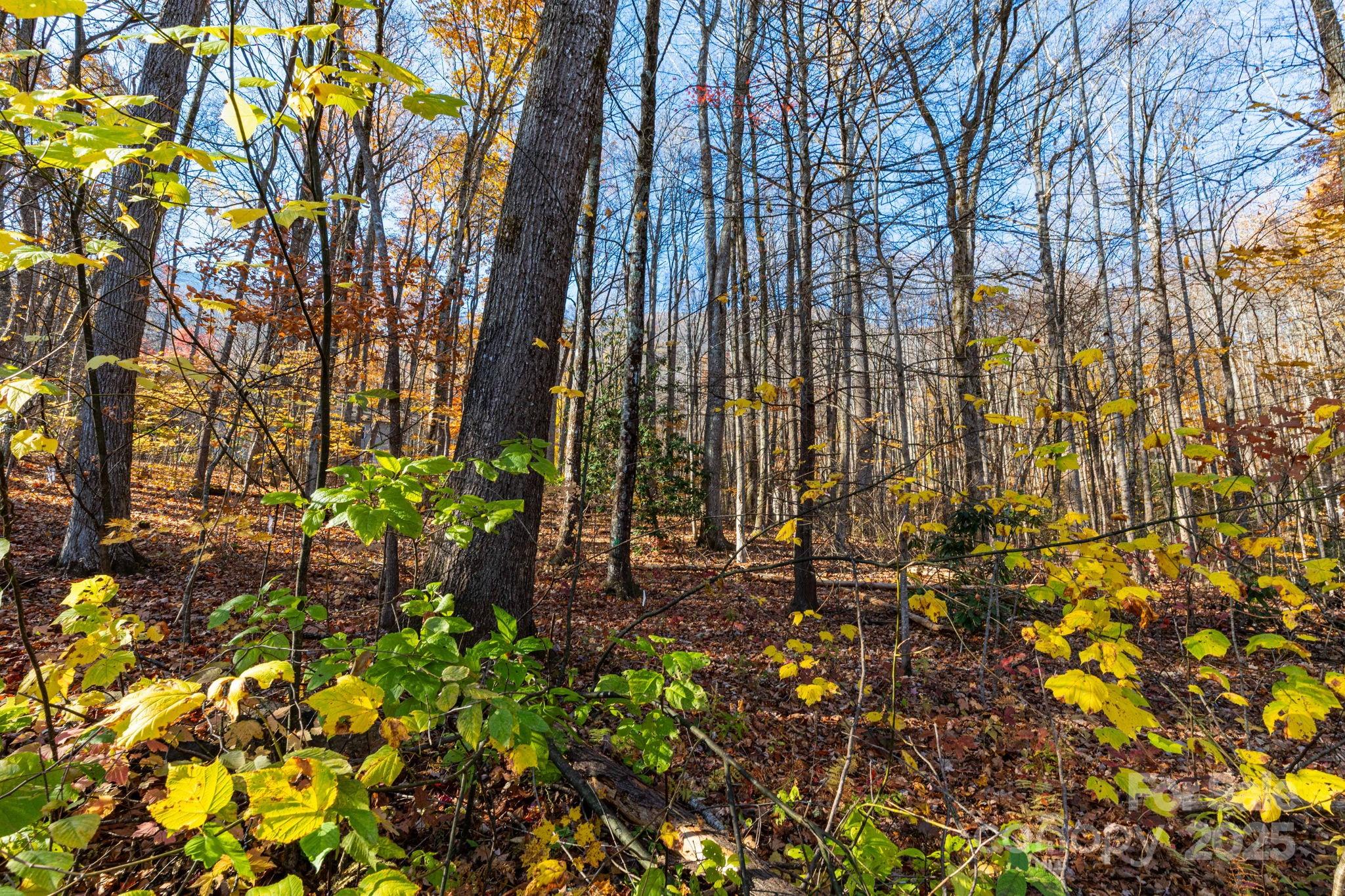 Lot 62 Twinbrook Lane Property Photo 8