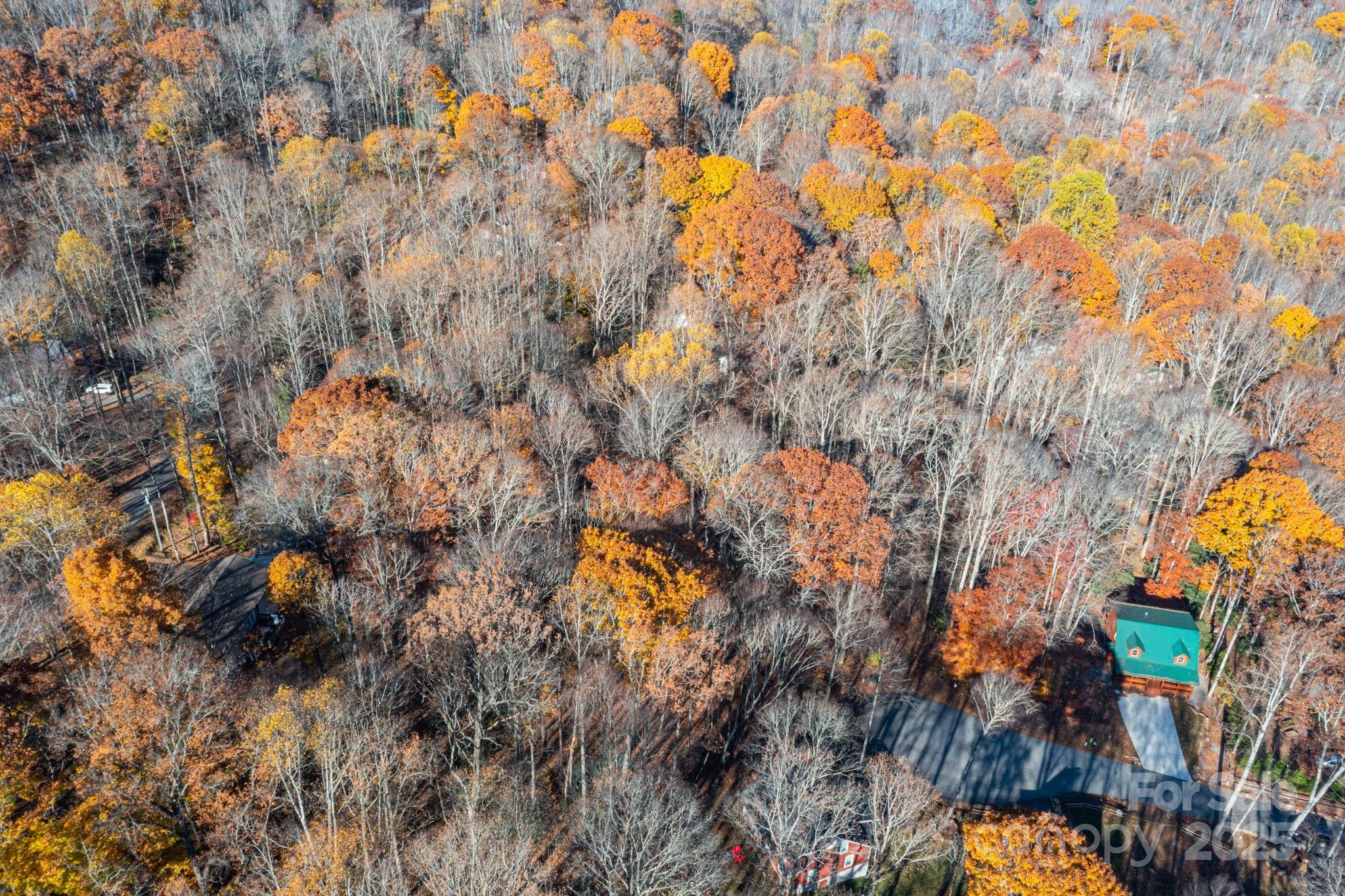 Lot 62 Twinbrook Lane Property Photo 16
