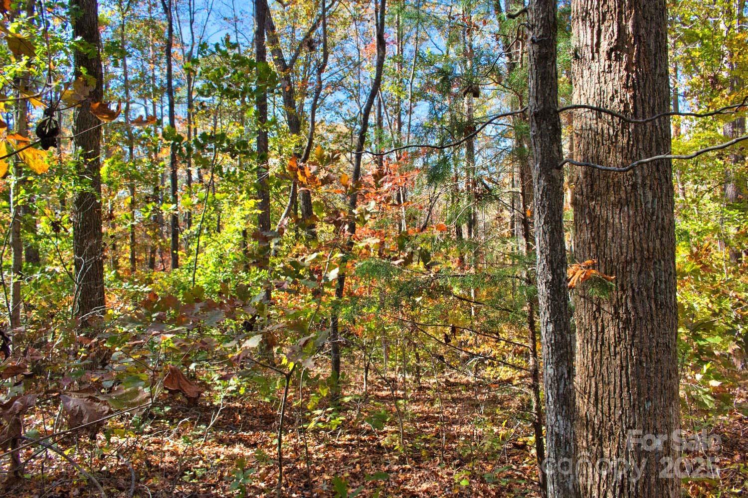 0 Bitteroot Circle 294 Property Photo 1
