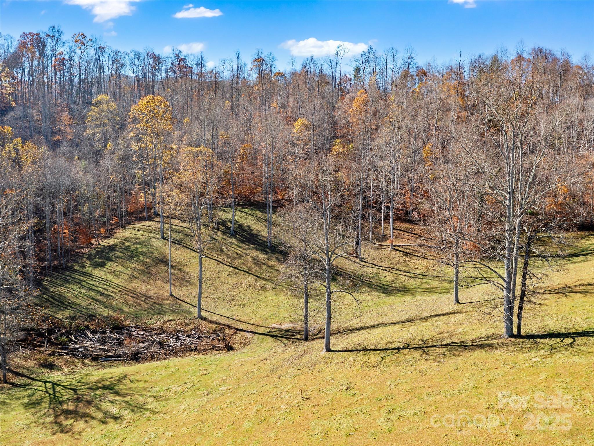 321 Lyle Lane Property Photo 8