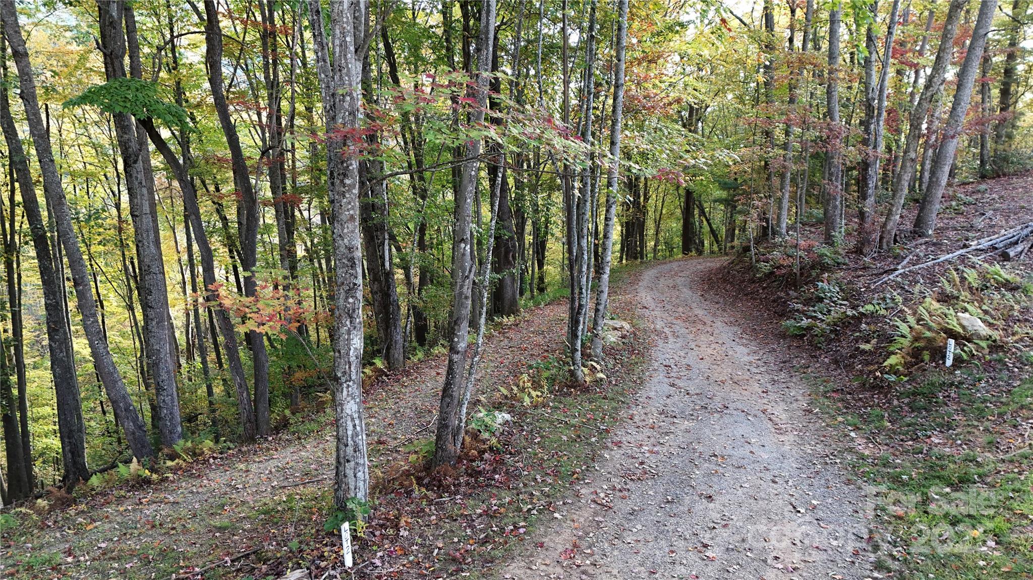 2 Roberts Mountain Road 2 Property Photo 7