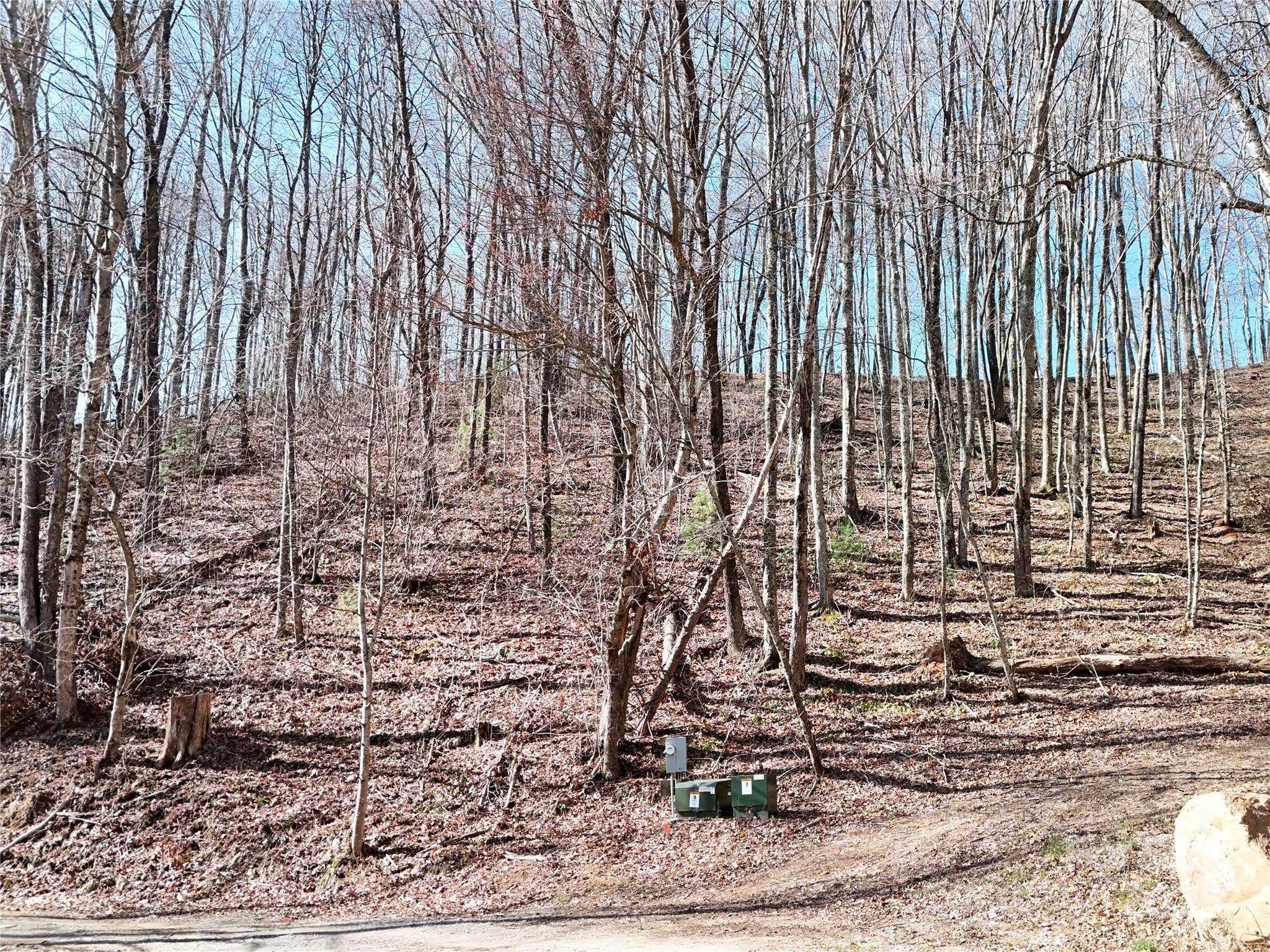 2 Roberts Mountain Road 2 Property Photo 11